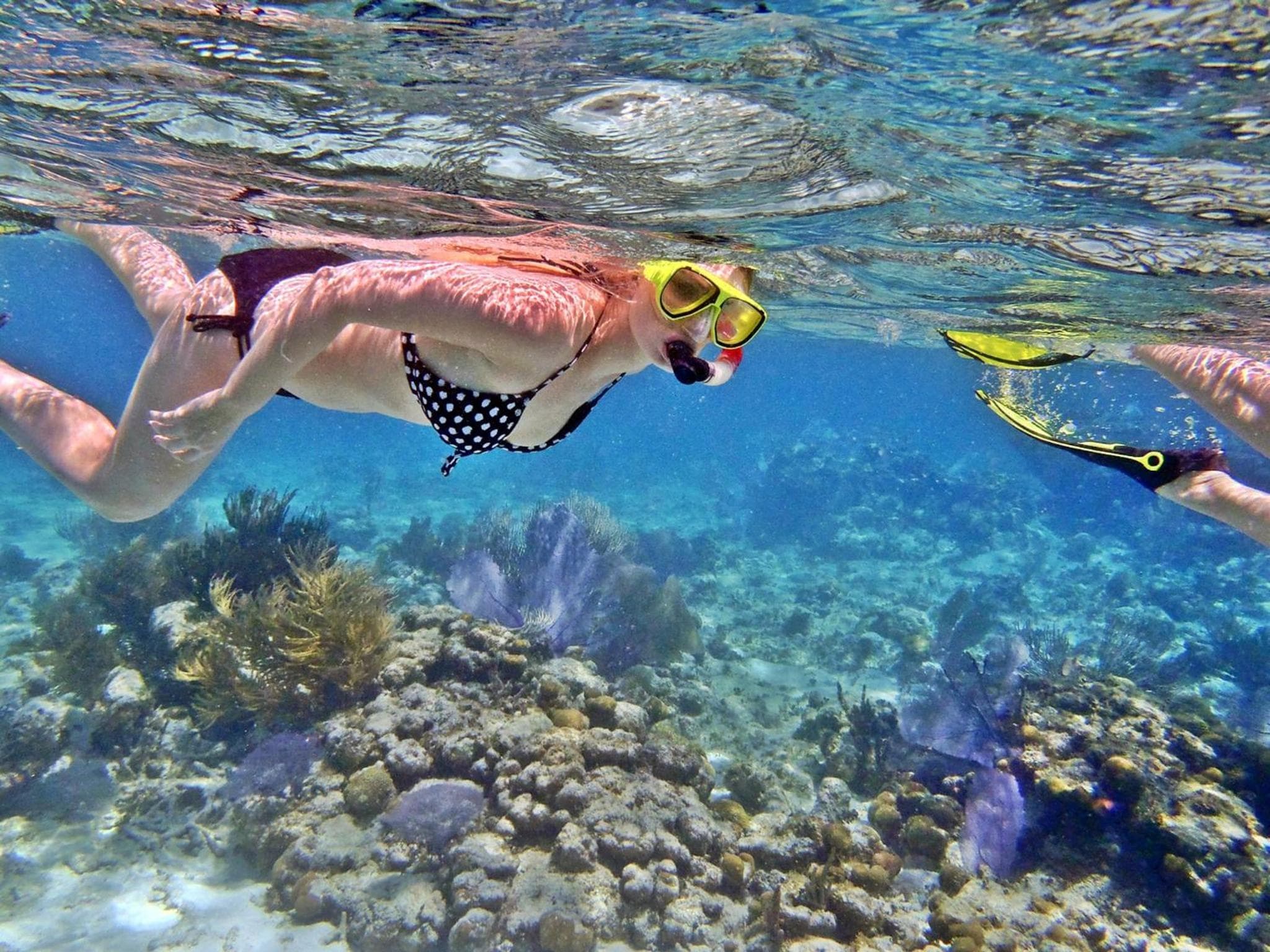 Vista Beach Retreat - View 45