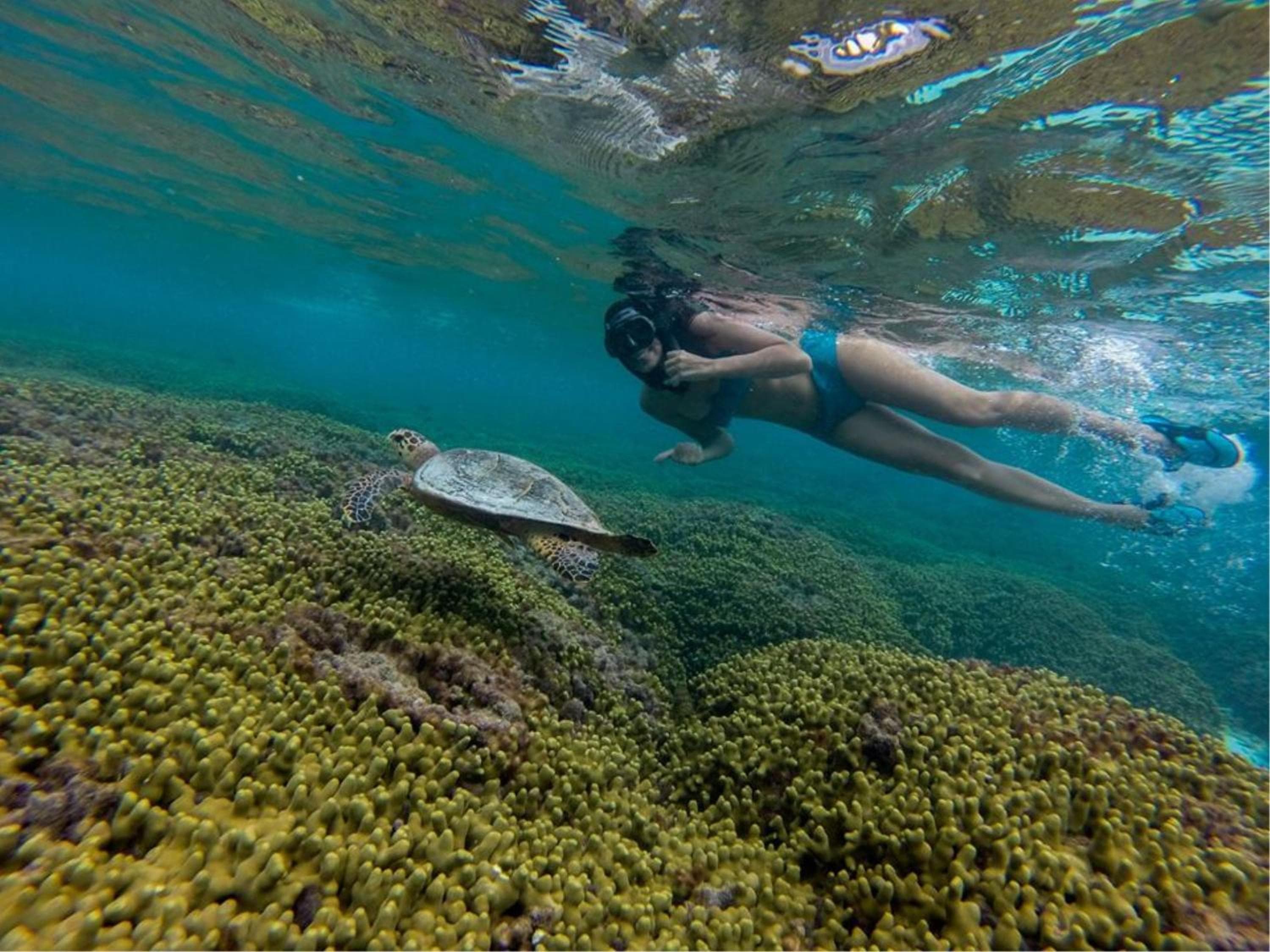 Holiday Cottage Thoddoo, Maldives - View 48