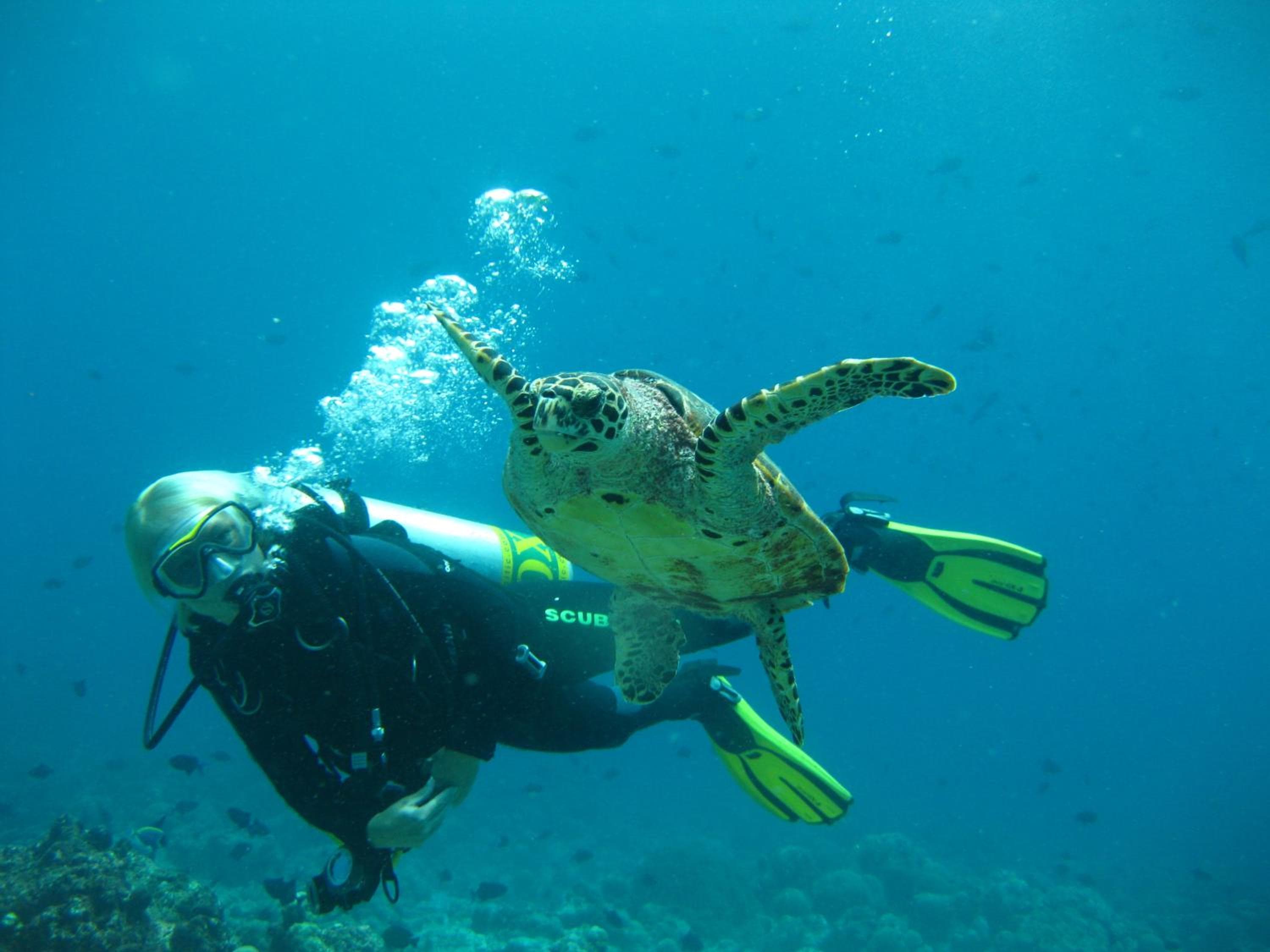 Adaaran Select Meedhupparu - with Dine around Premium All inclusive - 24 hours - View 30