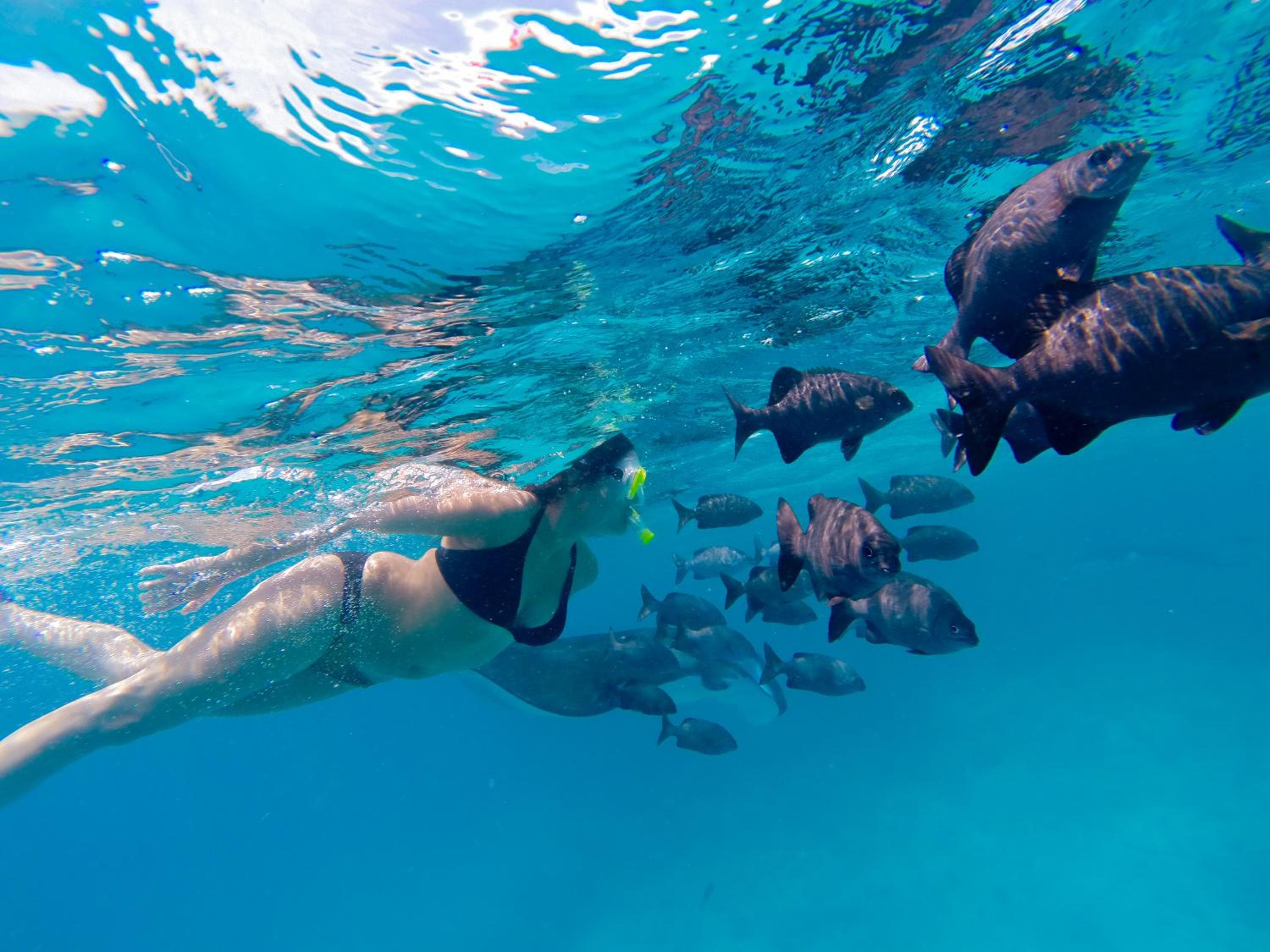 Aveyla Manta Village - View 40