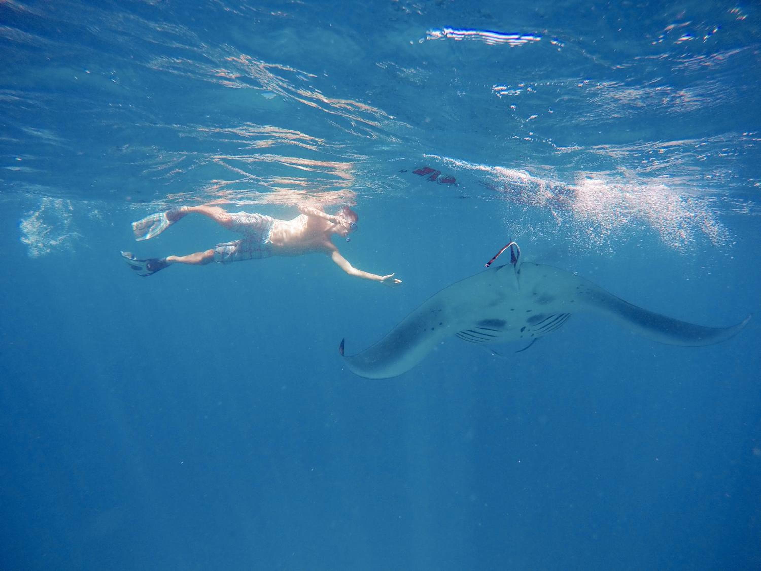 Aveyla Manta Village - View 54