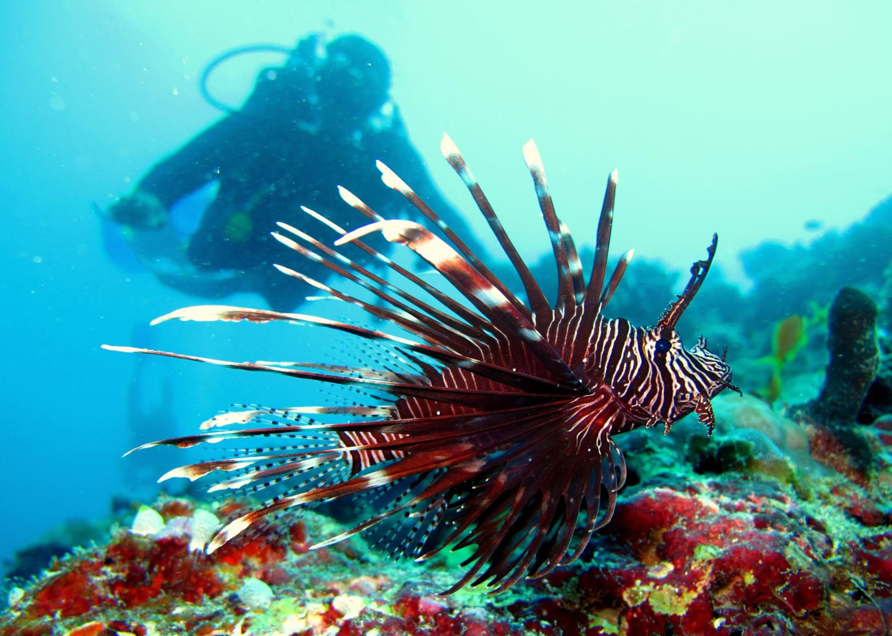 Eriyadu Island Resort - View 74