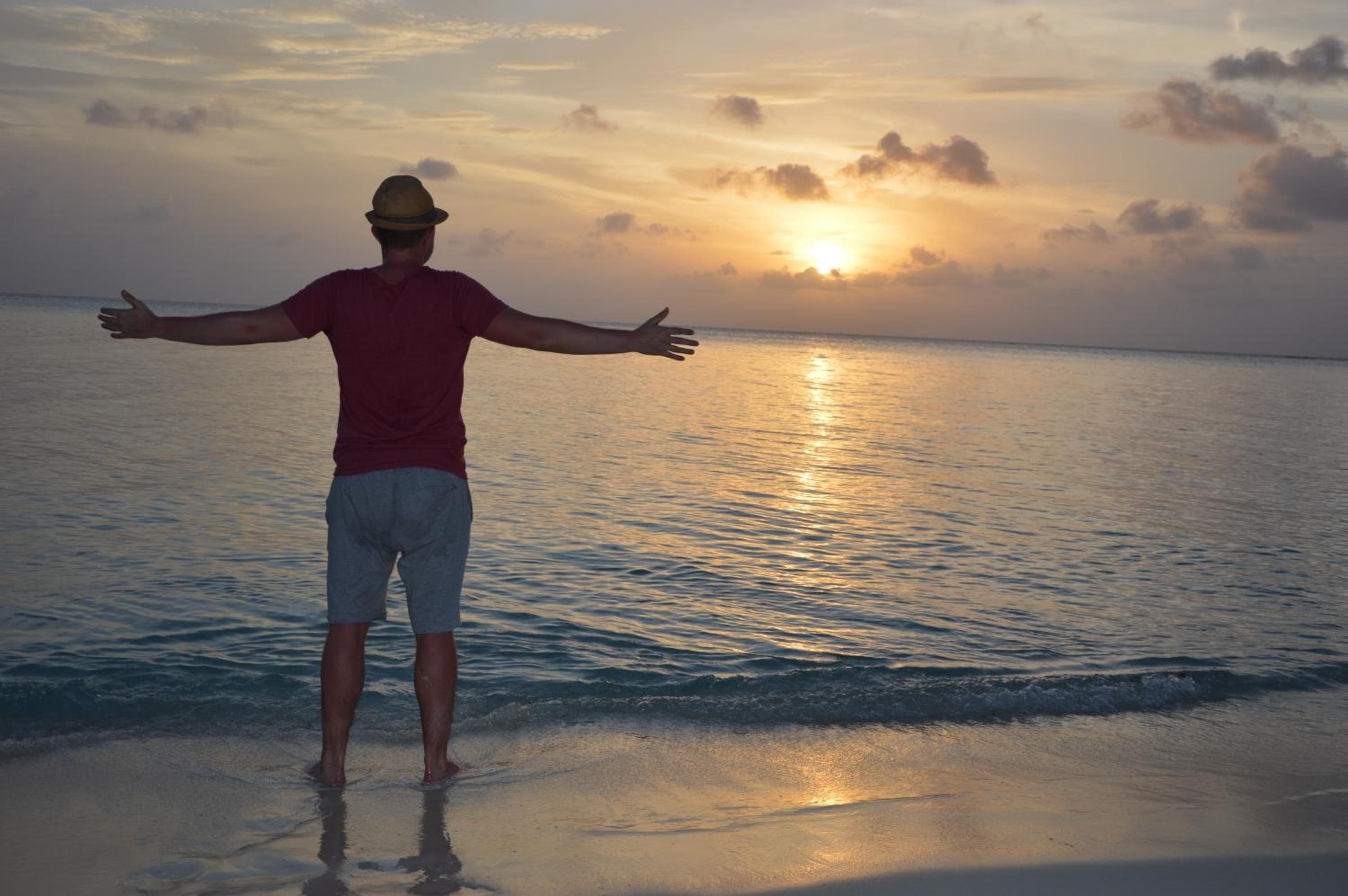 Palm Garden - View 32