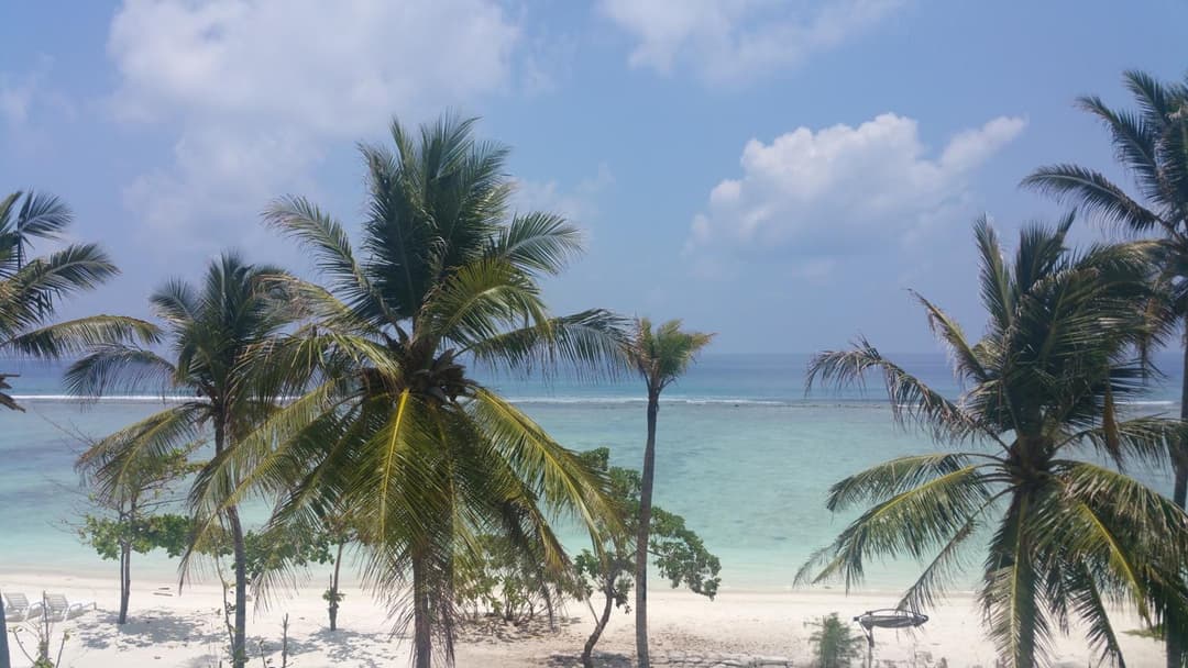Hathaa Beach Maldives - View 3