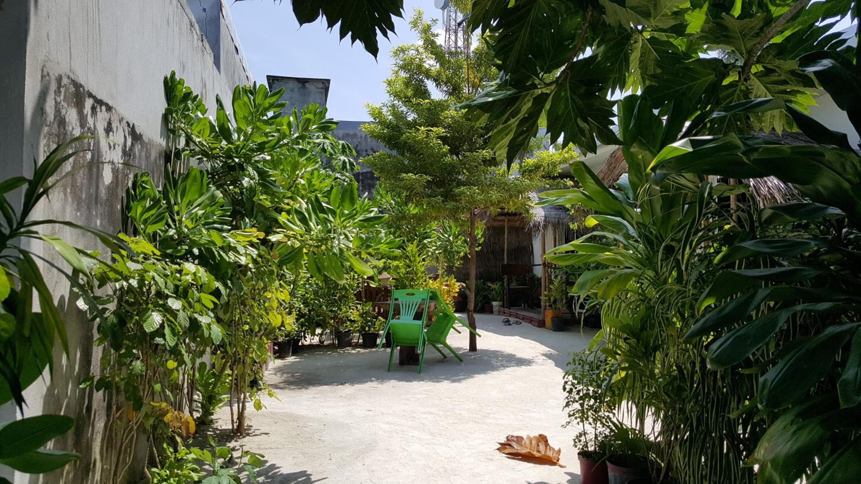 Maafushi View - View 40