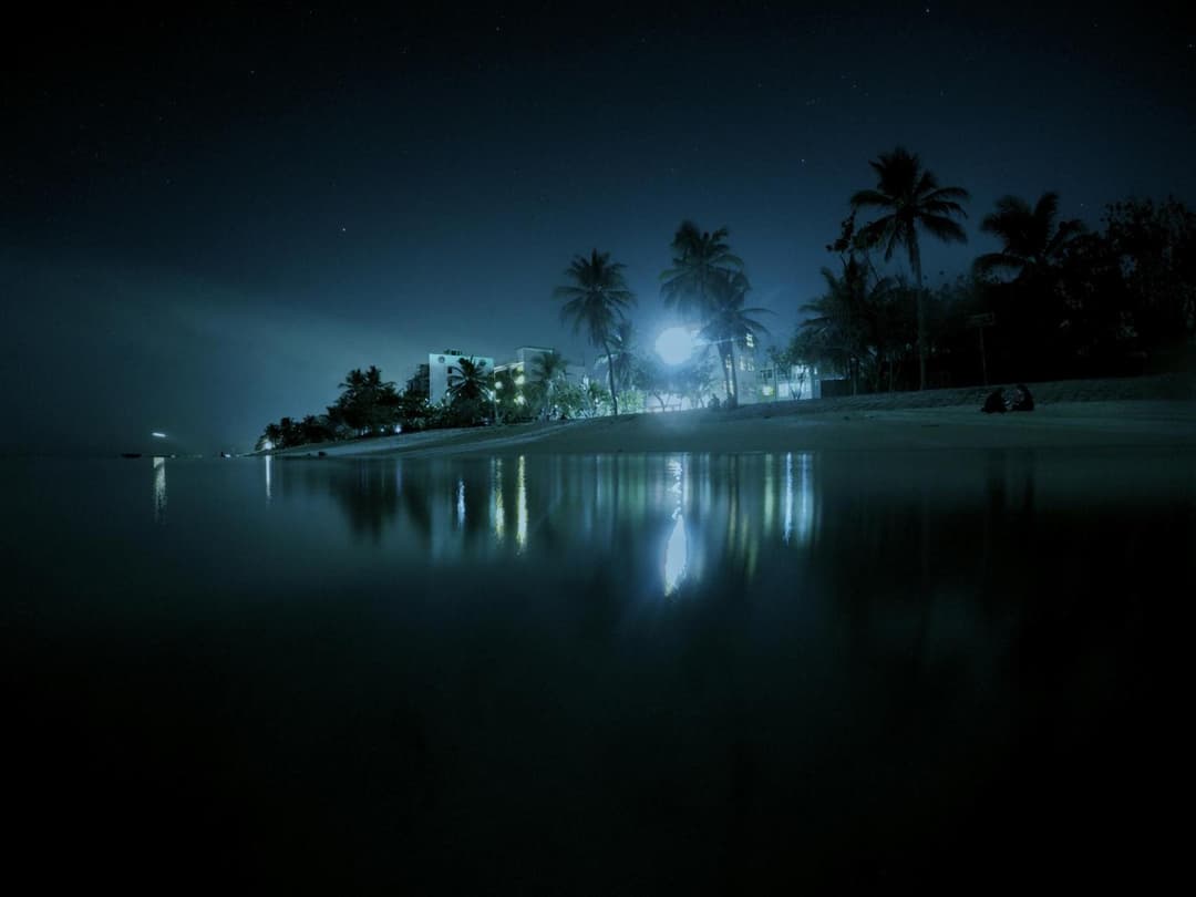 Planktons Beach - View 43