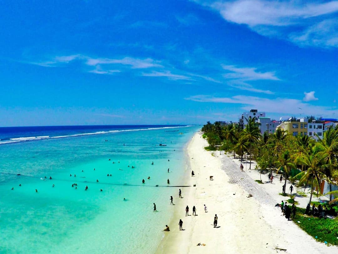 Planktons Beach - View 8