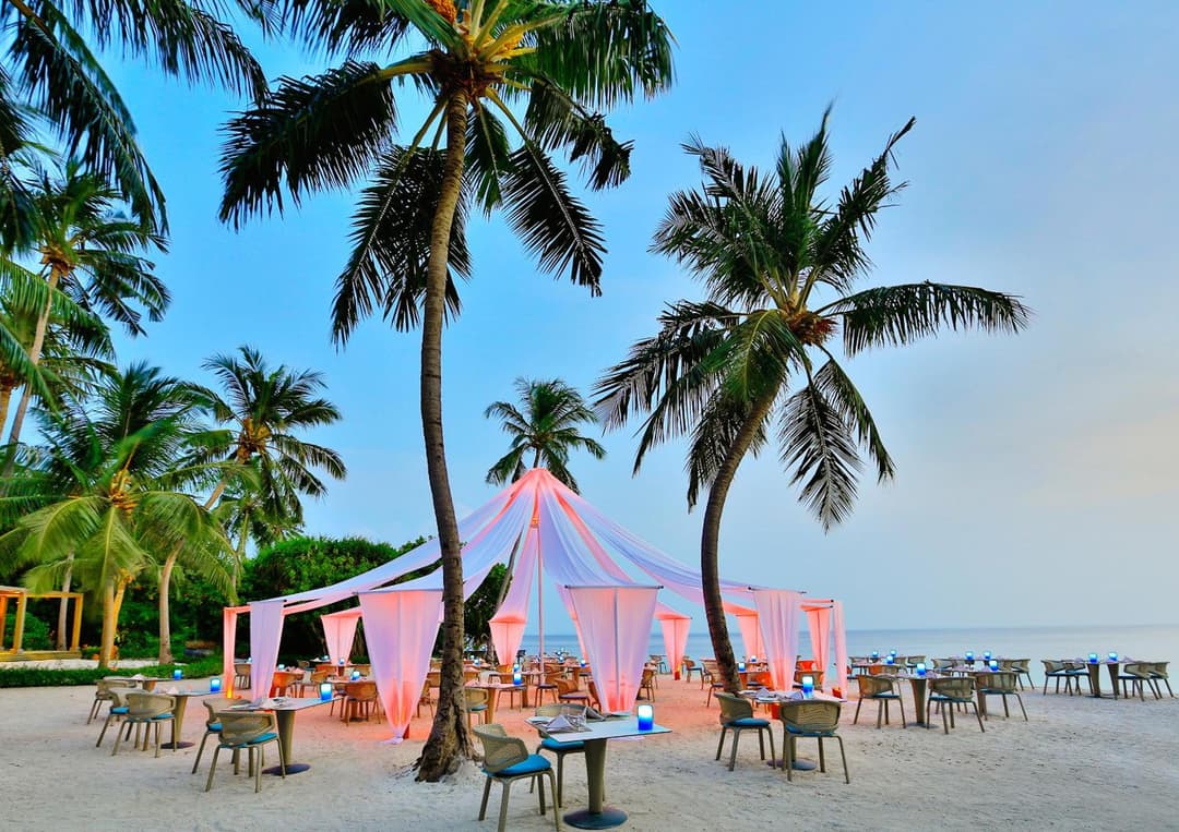 Dusit Thani Maldives - 50 percent off on Transfers for Stays of 5 Nights stay until 20 December 2026 - View 6