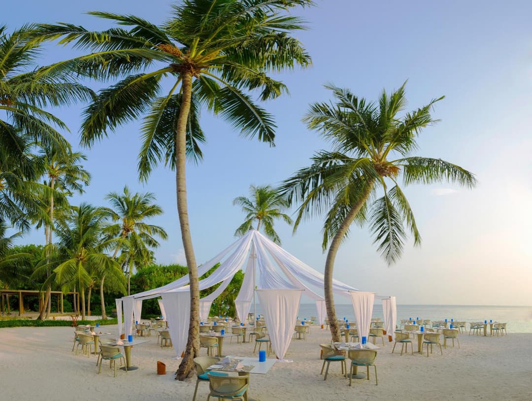 Dusit Thani Maldives - 50 percent off on Transfers for Stays of 5 Nights stay until 20 December 2026 - View 62