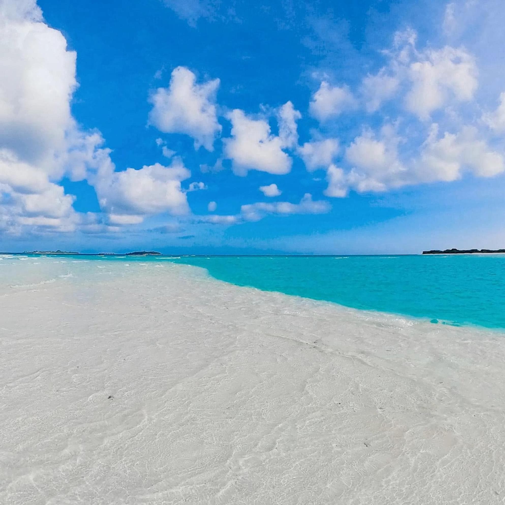 Aquatic Mathiveri - View 54