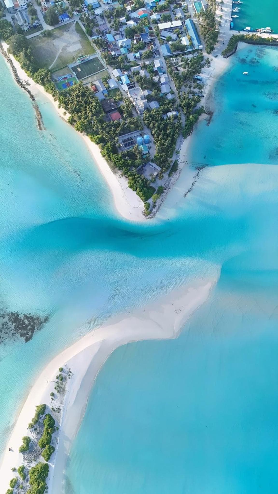 Aquatic Mathiveri - View 24