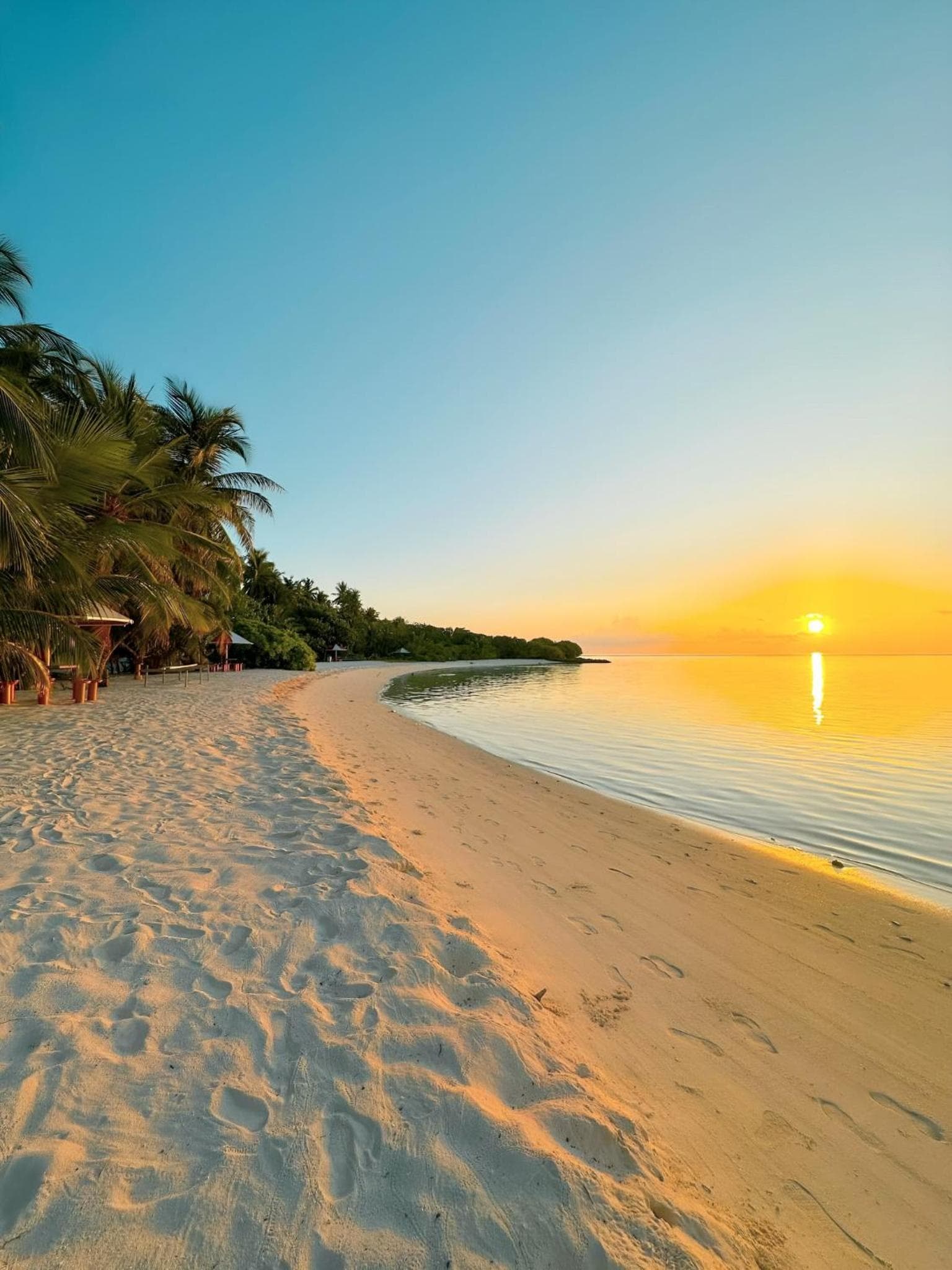 Aquatic Mathiveri - View 48