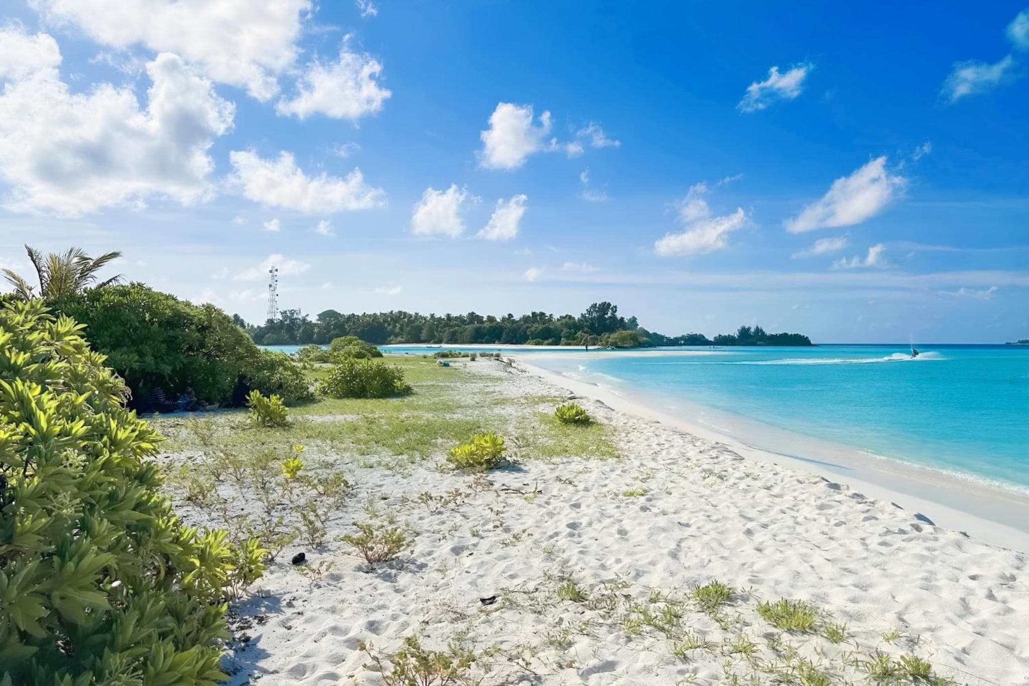 Aquatic Mathiveri - View 13