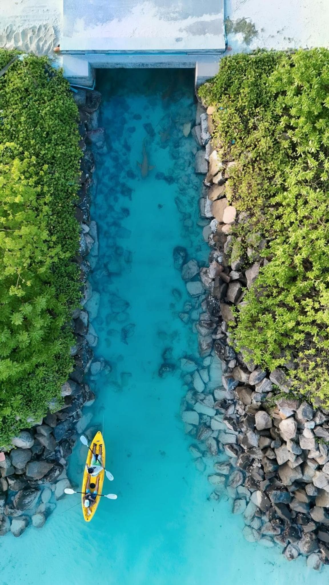 Aquatic Mathiveri - View 47