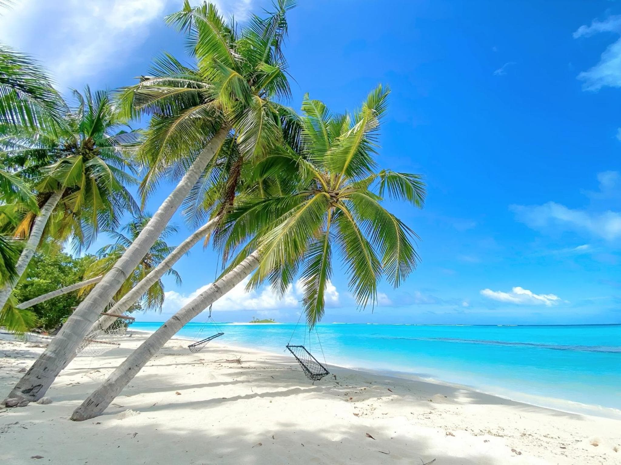 Aquatic Mathiveri - View 1