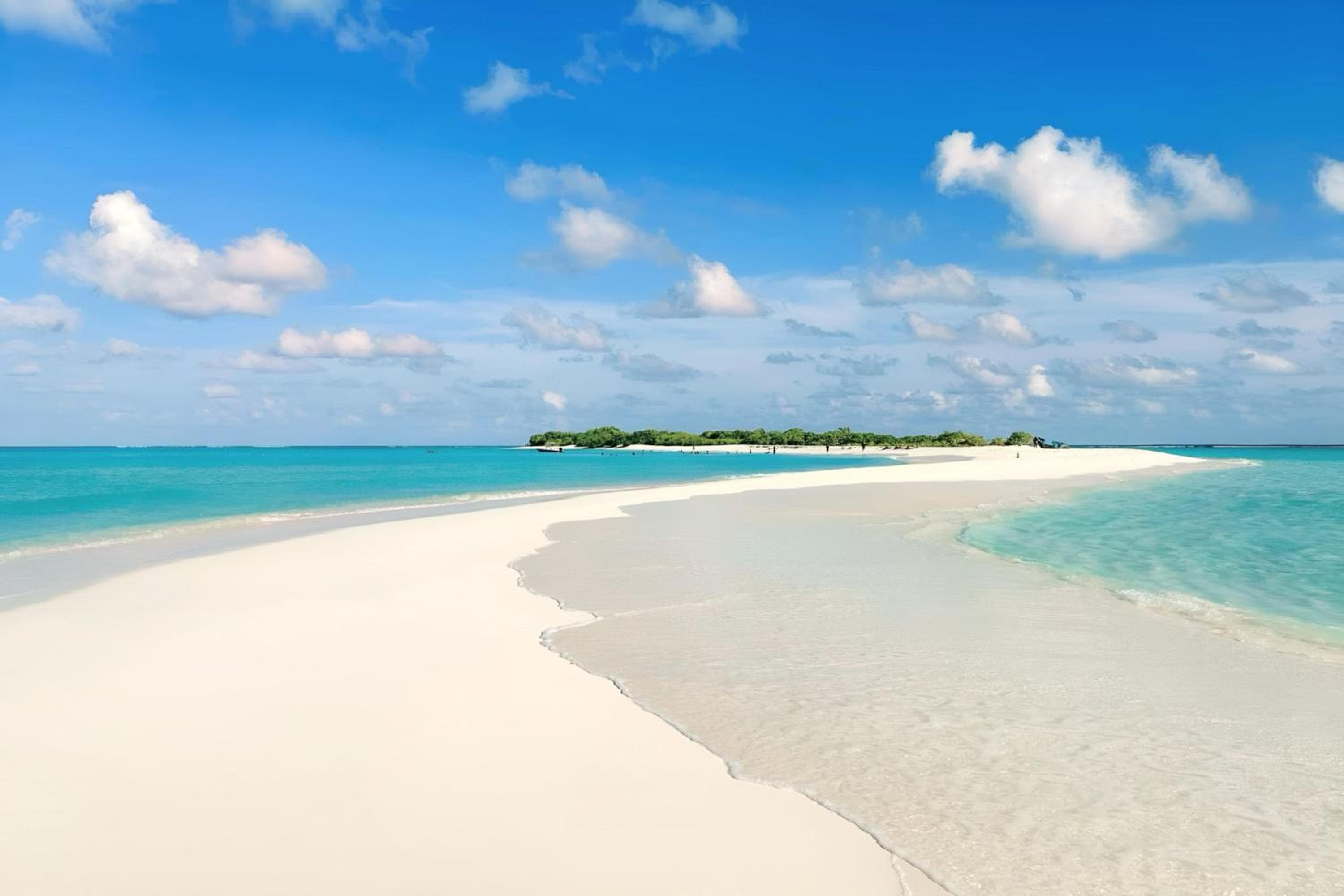 Aquatic Mathiveri - View 56