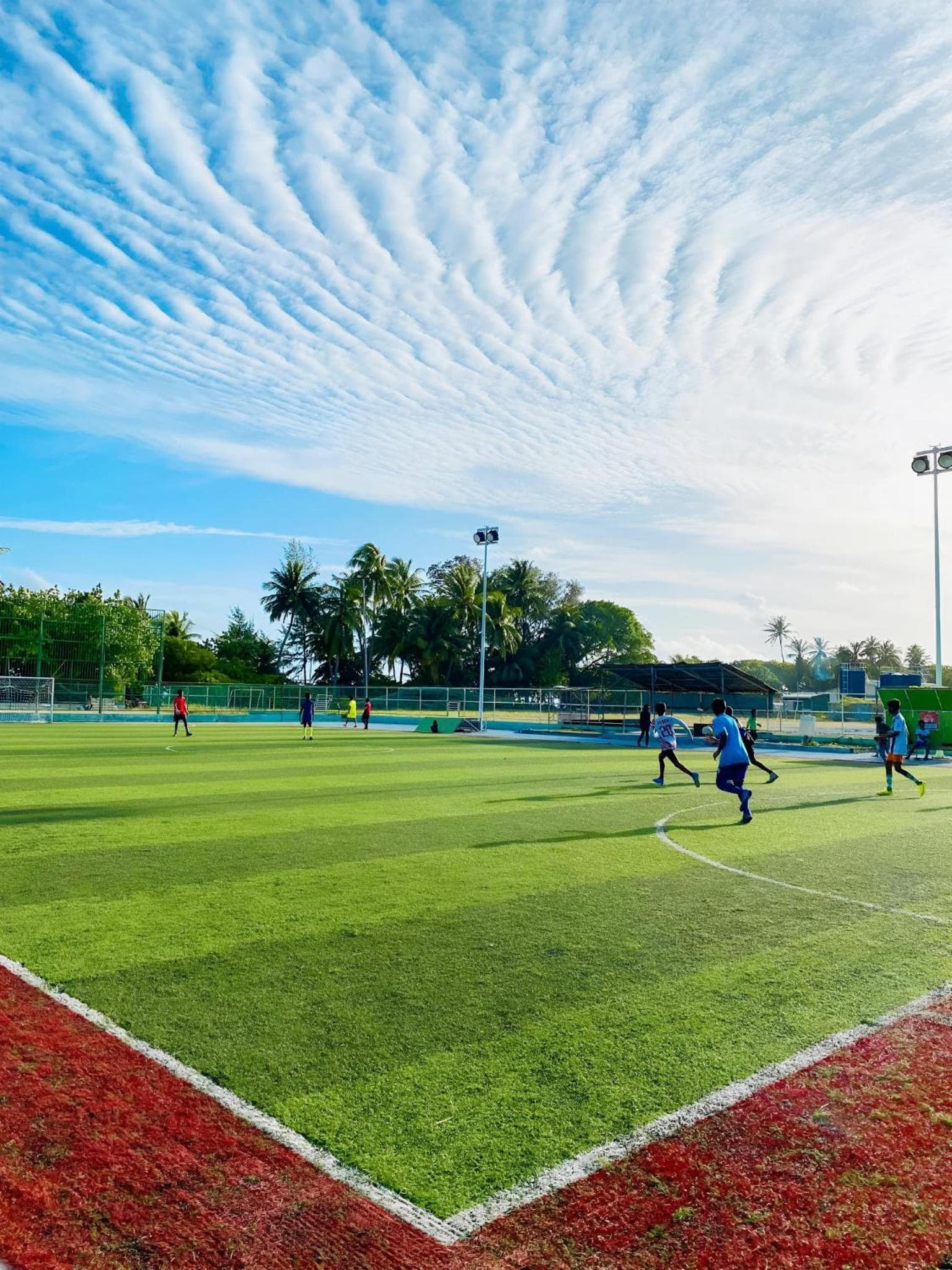 Aquatic Mathiveri - View 46