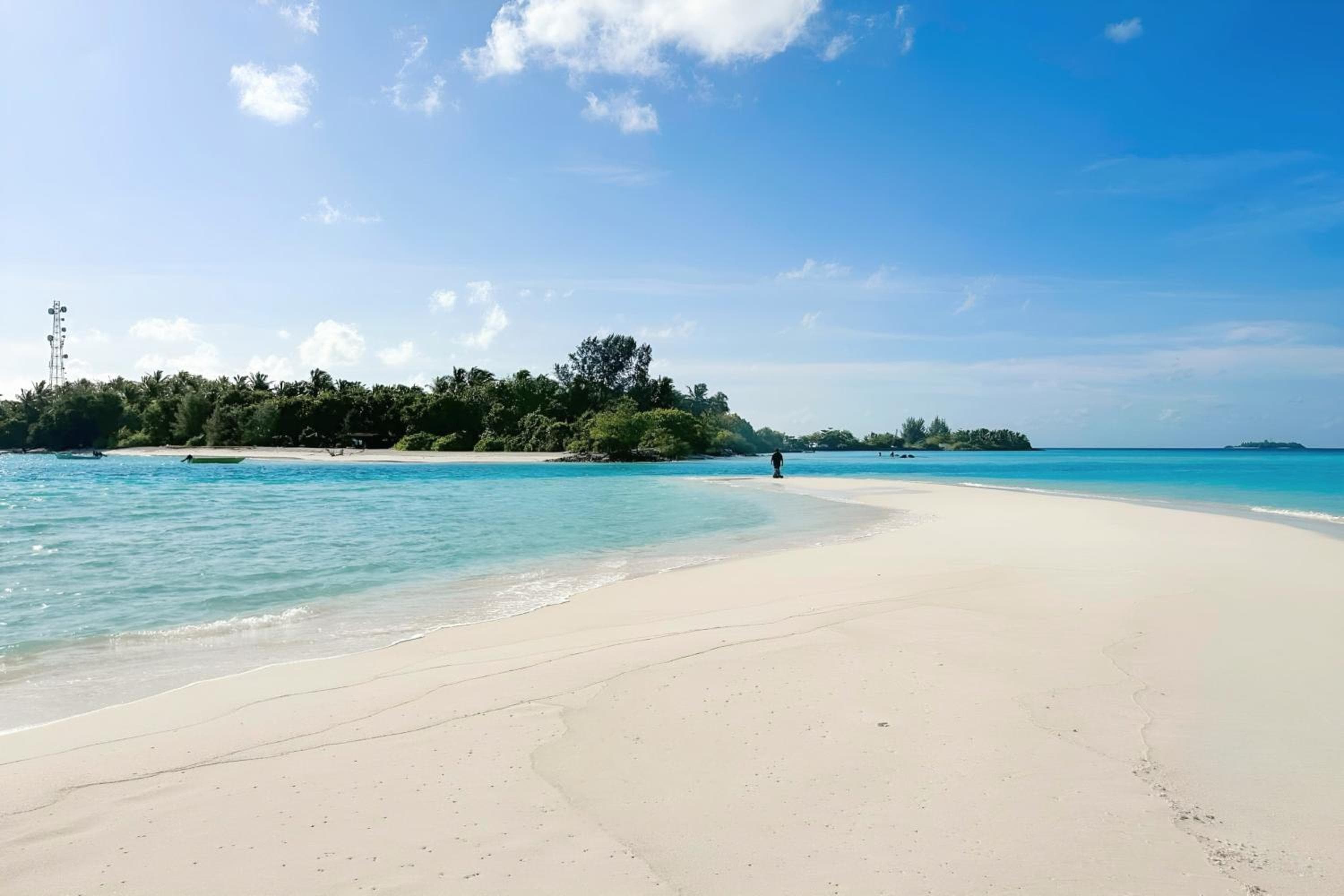 Aquatic Mathiveri - View 26