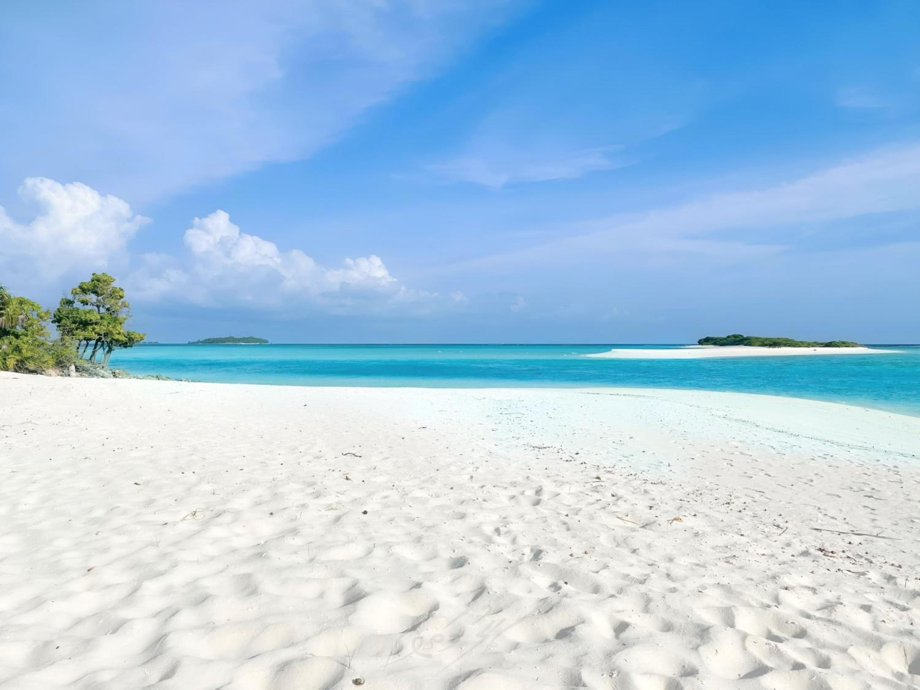 Aquatic Mathiveri - View 9