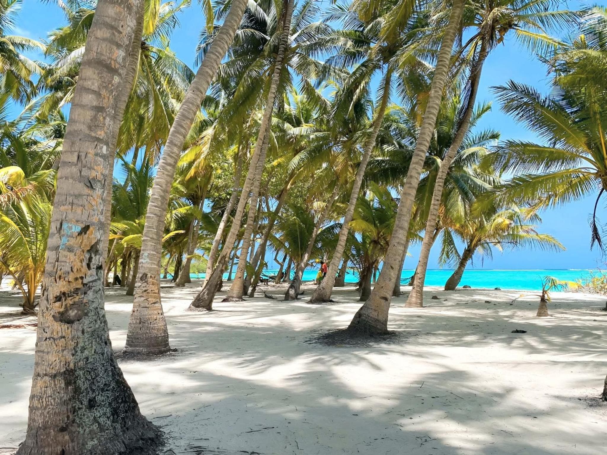 Aquatic Mathiveri - View 37