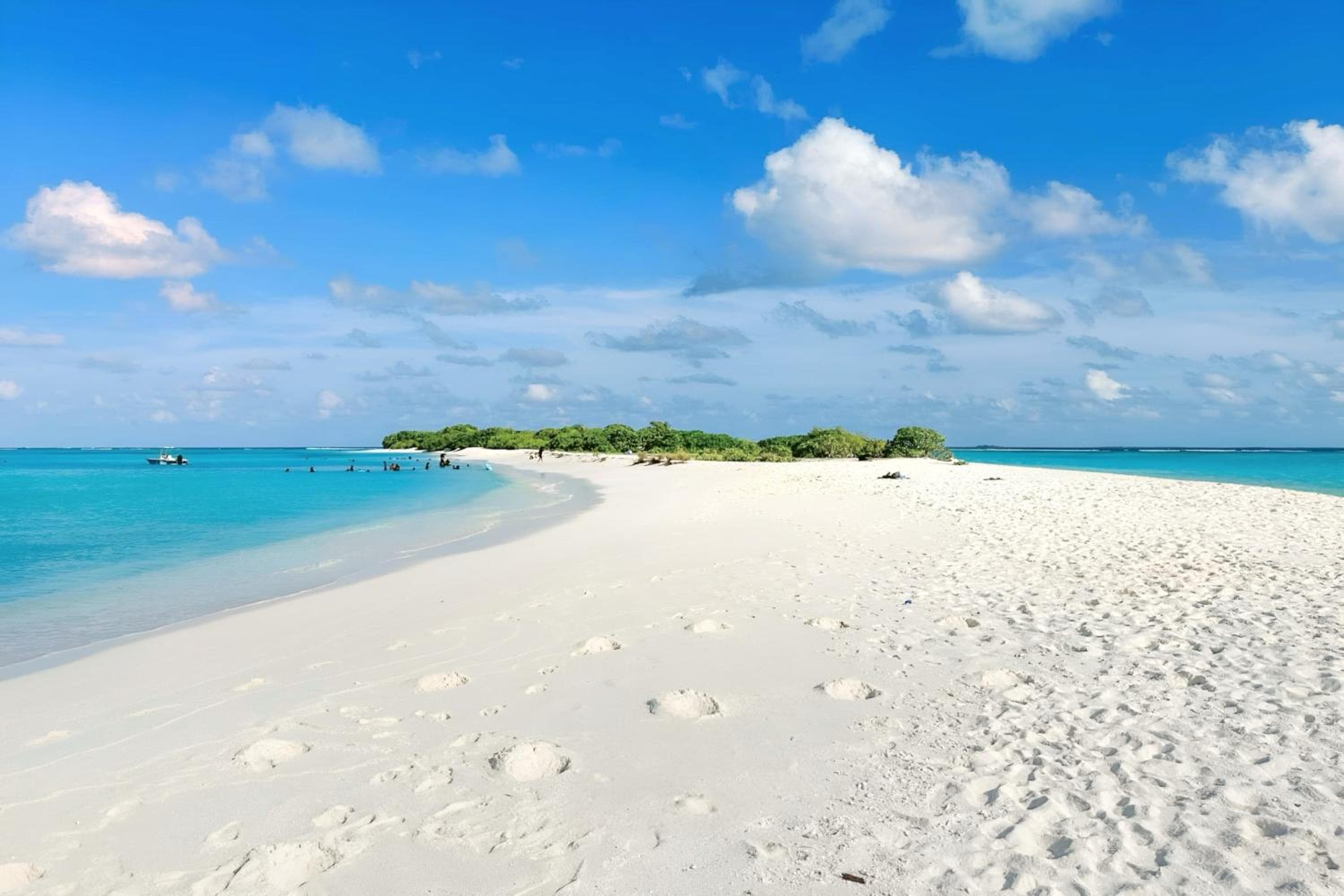 Aquatic Mathiveri - View 60