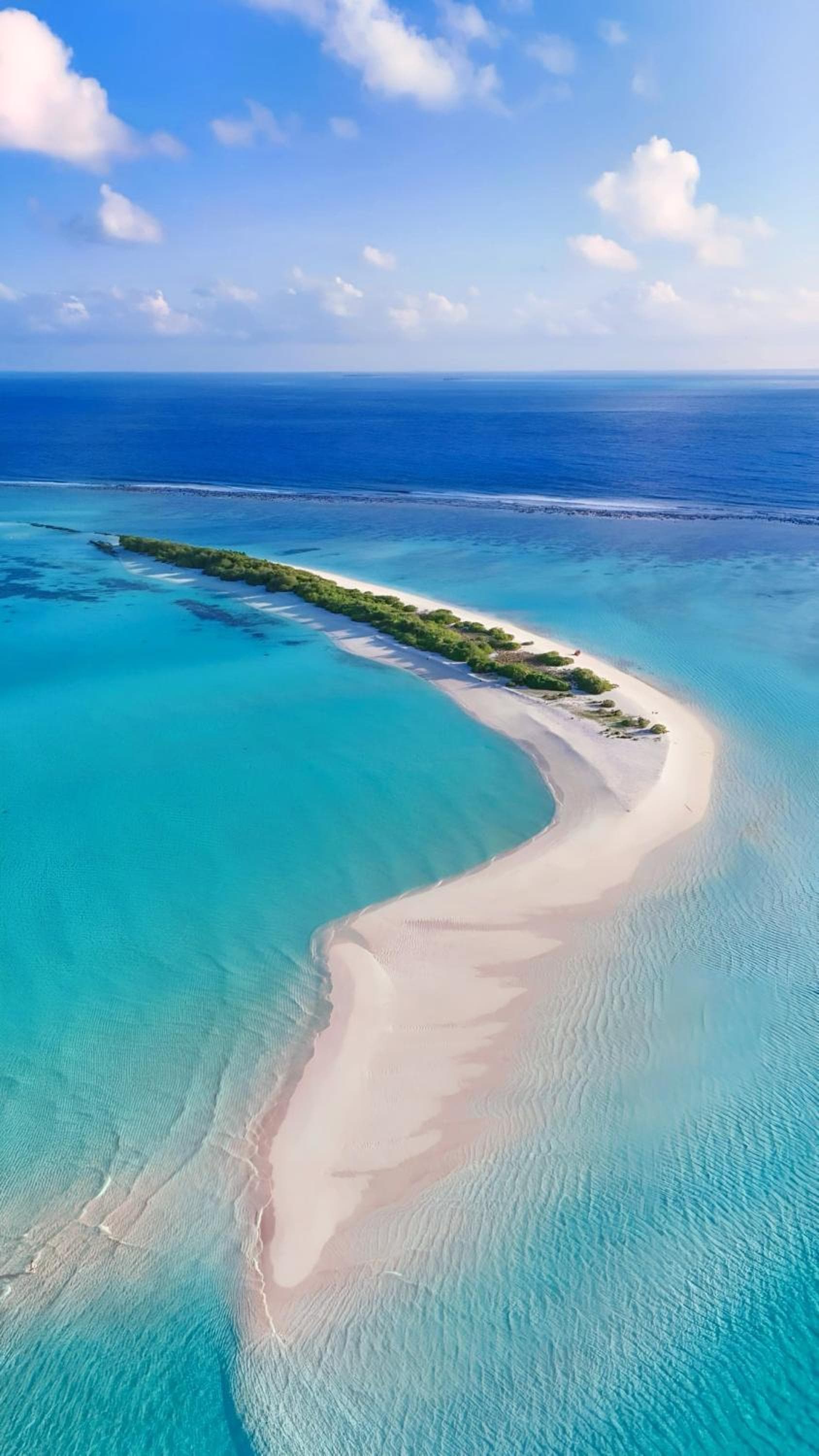 Aquatic Mathiveri - View 14