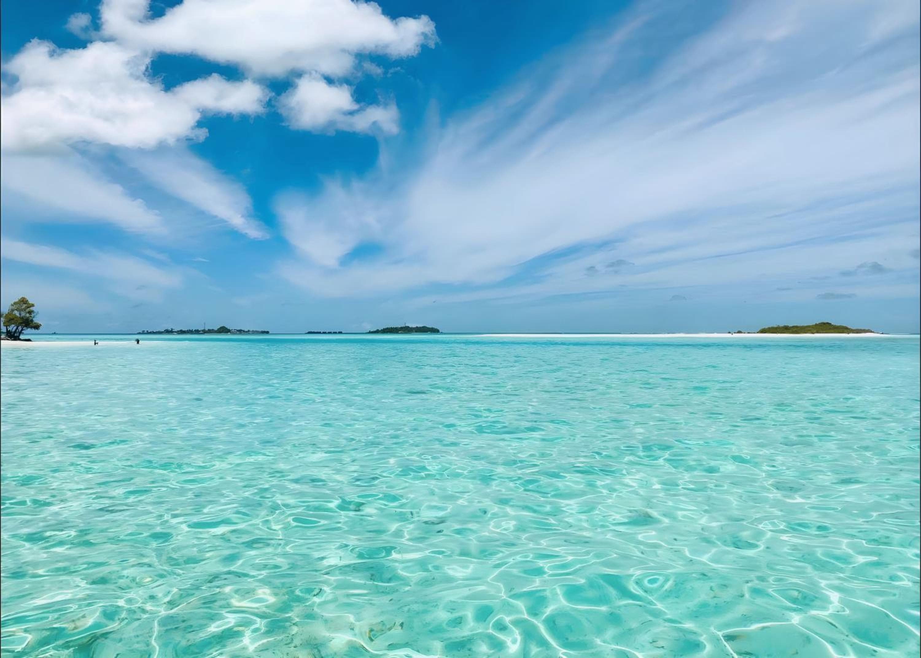 Aquatic Mathiveri - View 12