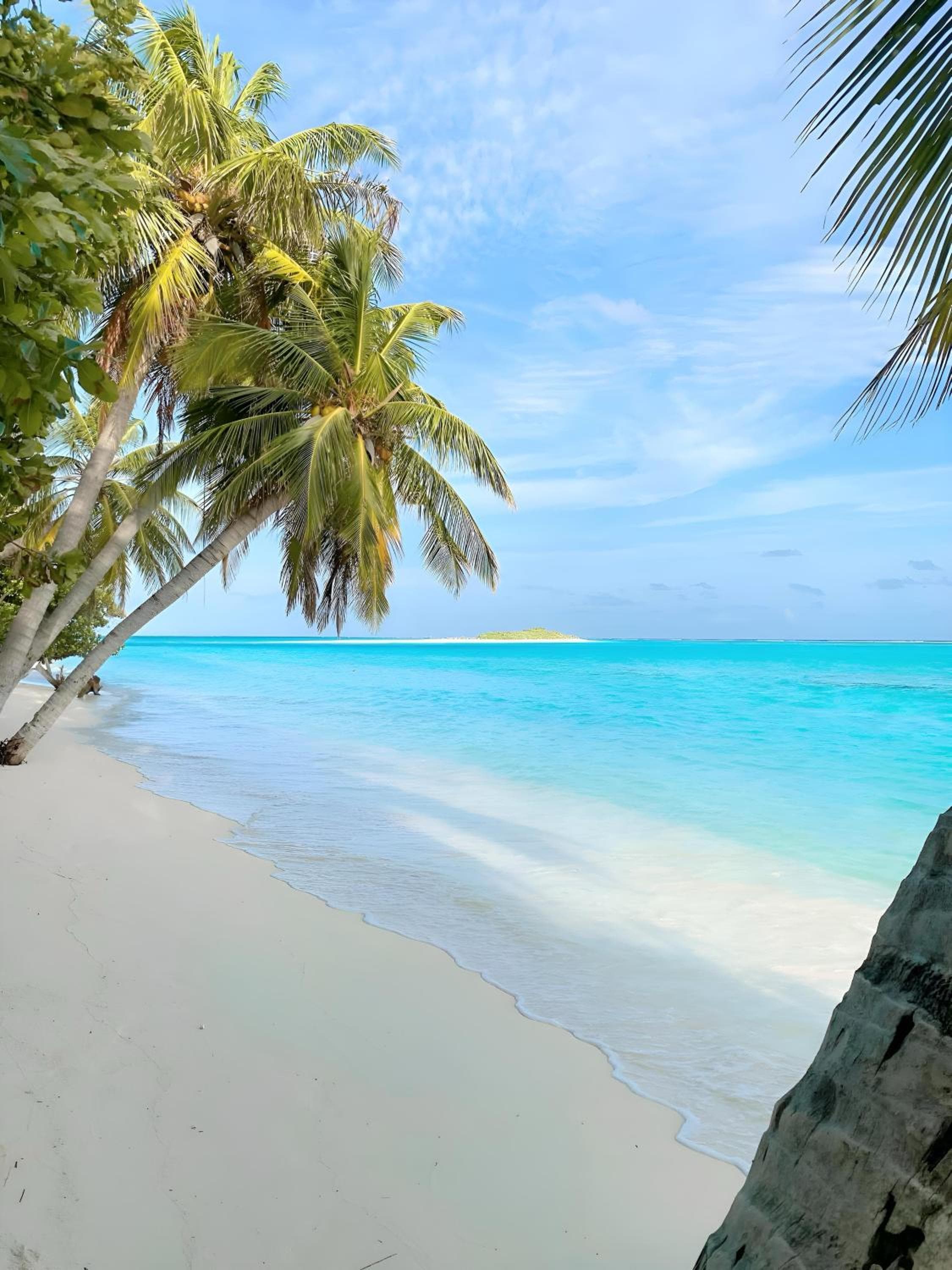 Aquatic Mathiveri - View 18