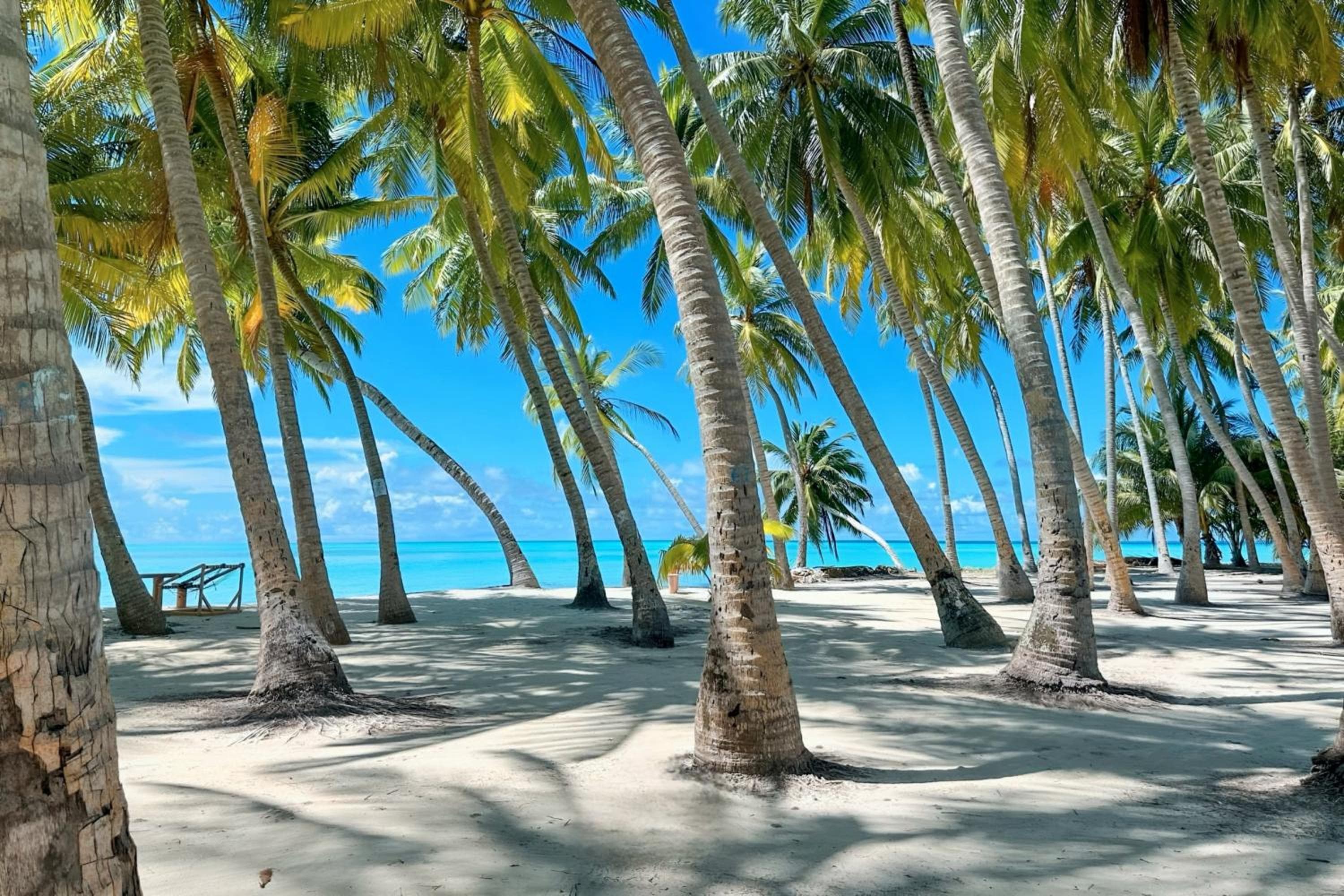 Aquatic Mathiveri - View 52