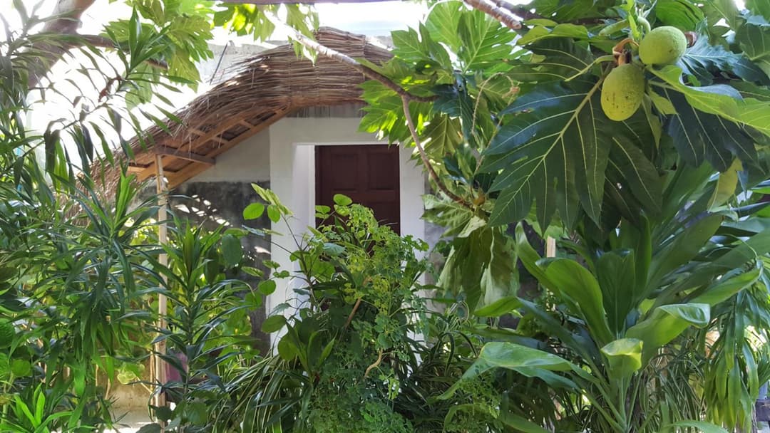 Maafushi View - View 27