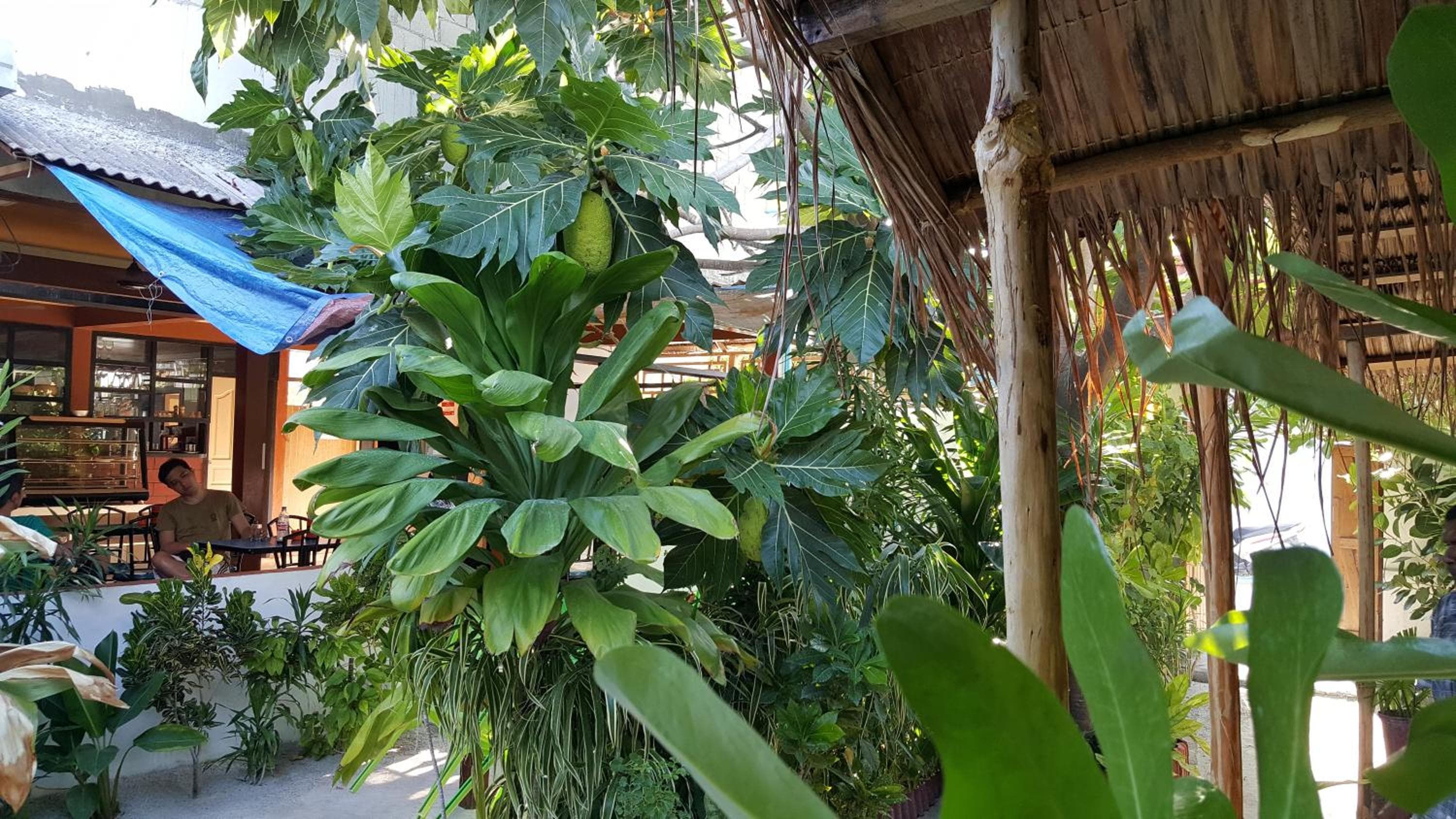 Maafushi View - View 60