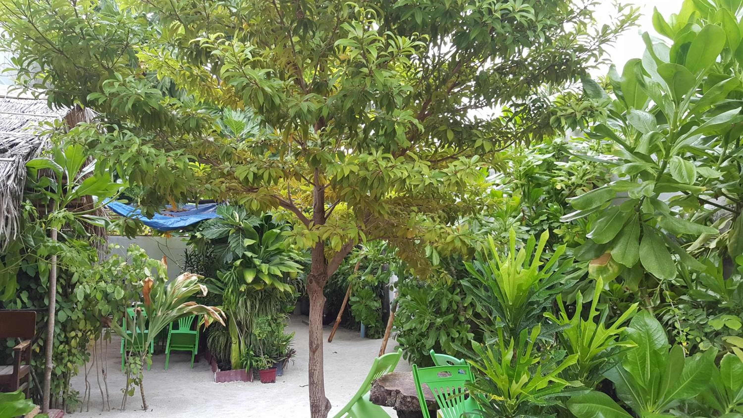 Maafushi View - View 61