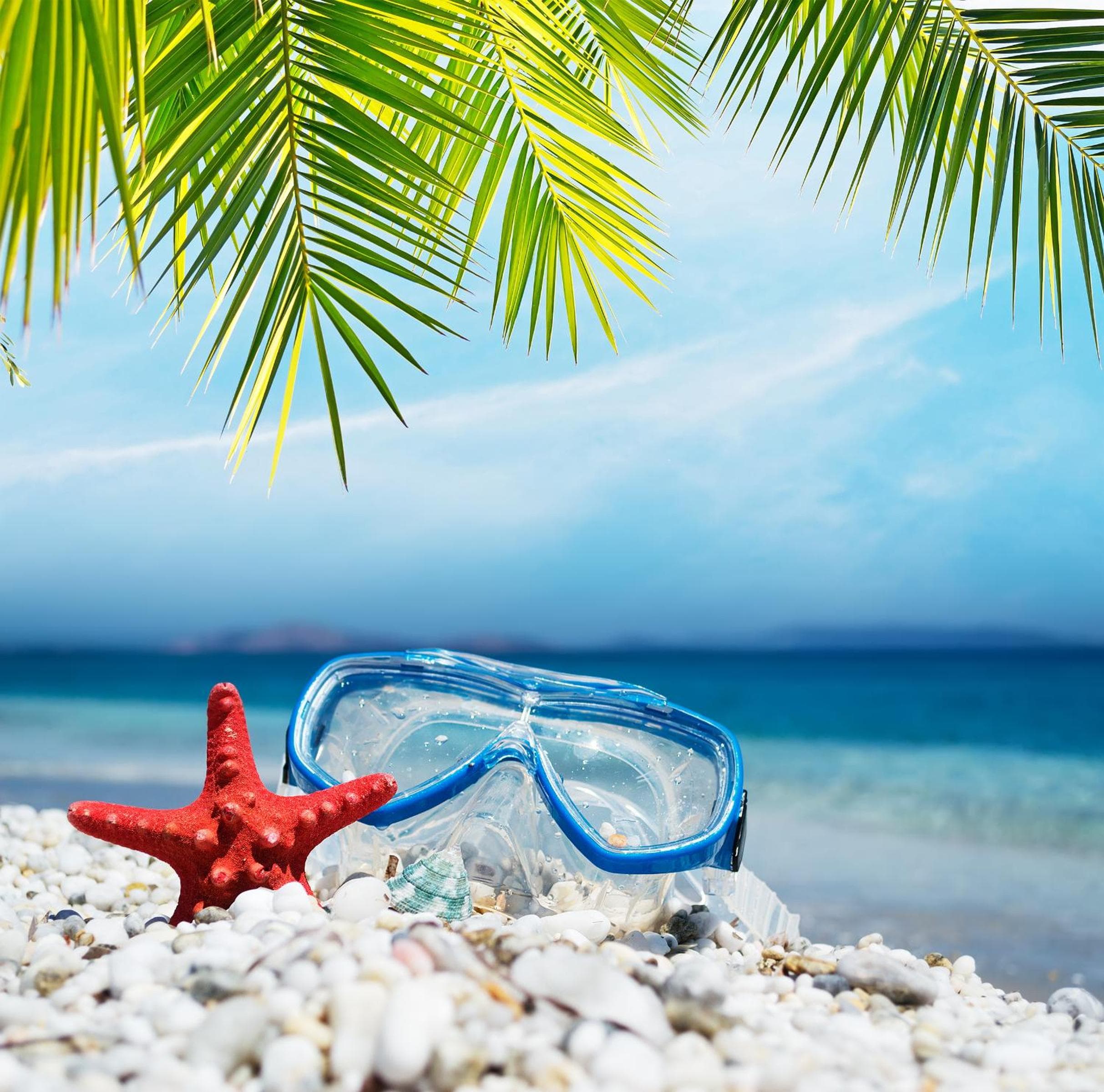 The Beehive - View 31