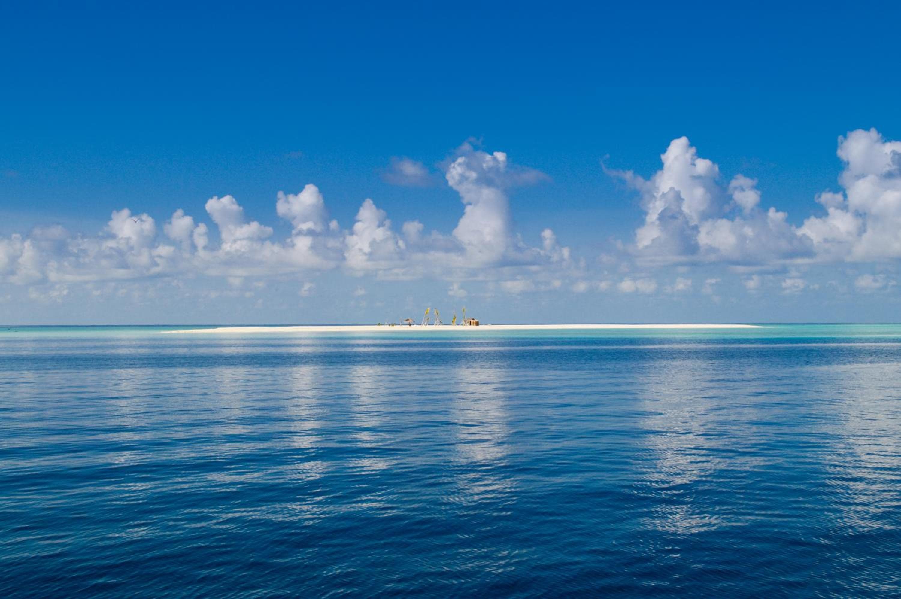 The Beehive - View 27