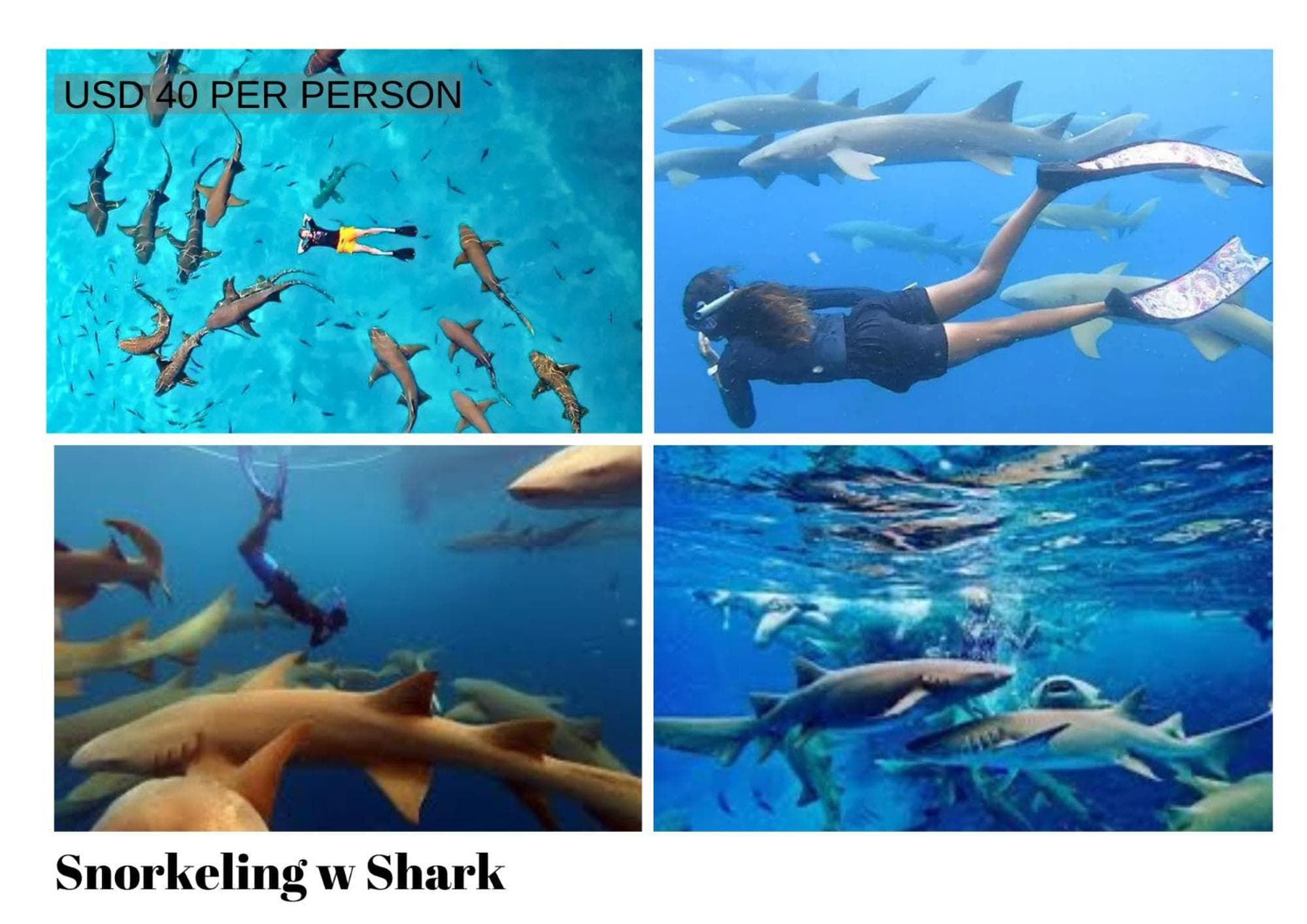 Beach Villa Maldives - hotel by the beach - View 16