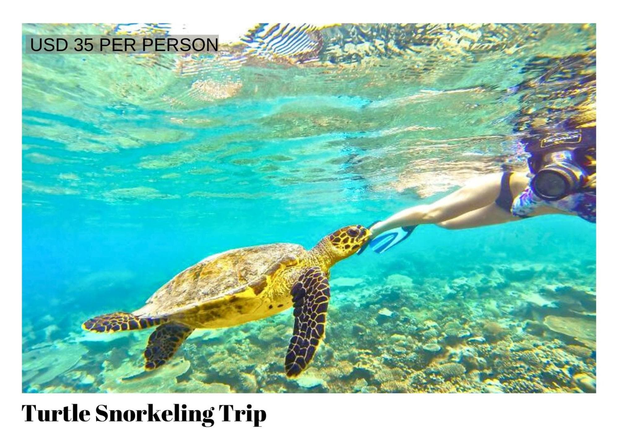 Beach Villa Maldives - hotel by the beach - View 21