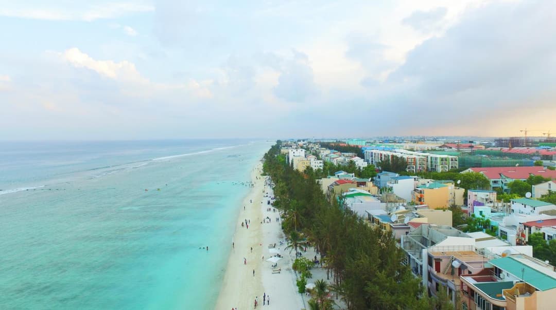 Planktons Beach - View 28