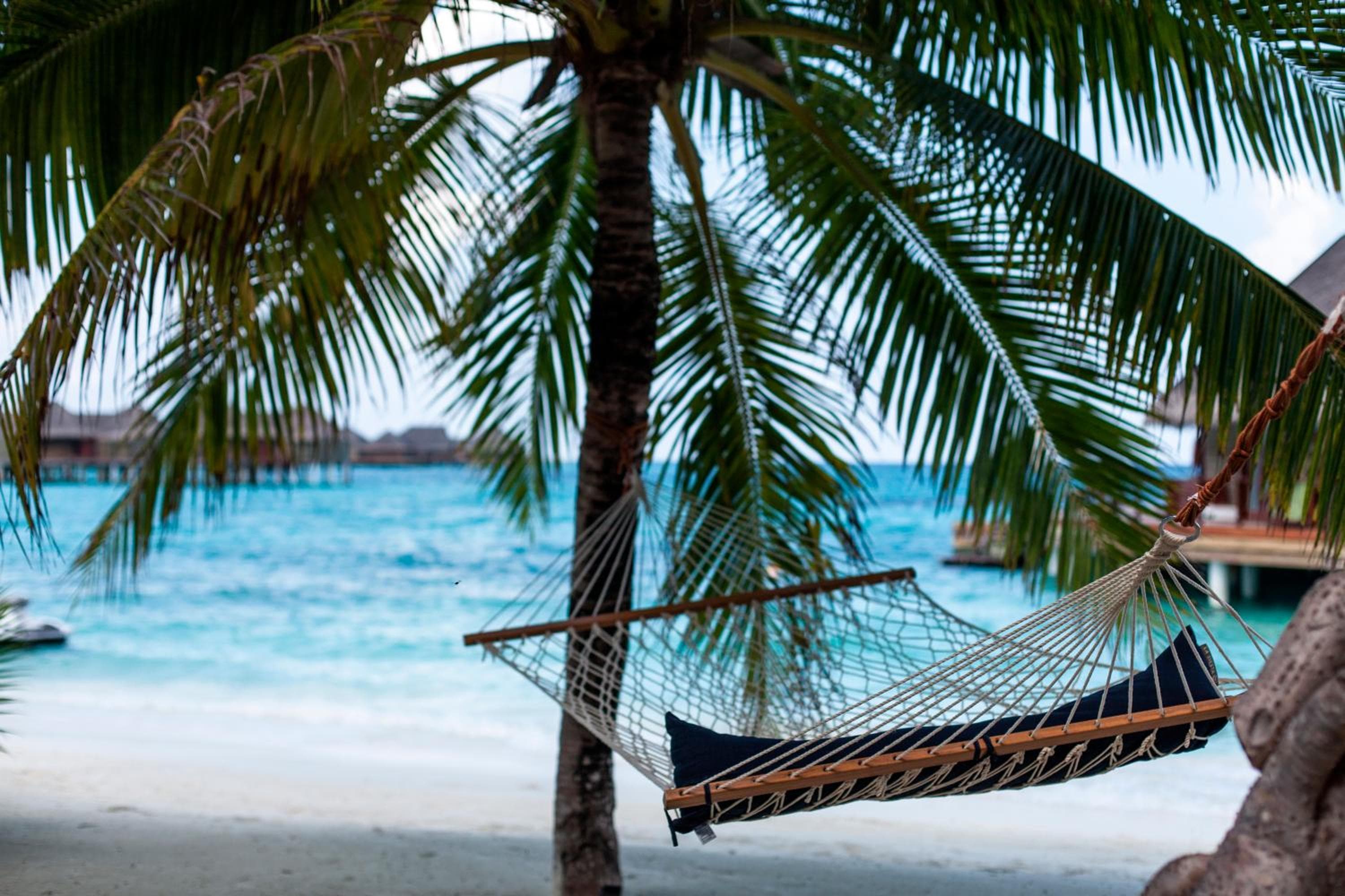 Constance Halaveli - View 86