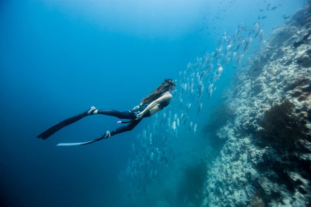 Dusit Thani Maldives - 50 percent off on Transfers for Stays of 5 Nights stay until 20 December 2026 - View 66