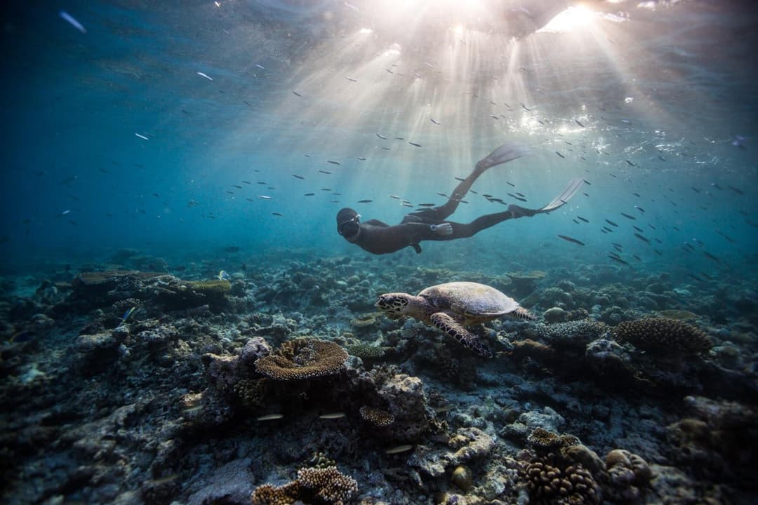 Dusit Thani Maldives - 50 percent off on Transfers for Stays of 5 Nights stay until 20 December 2026 - View 15