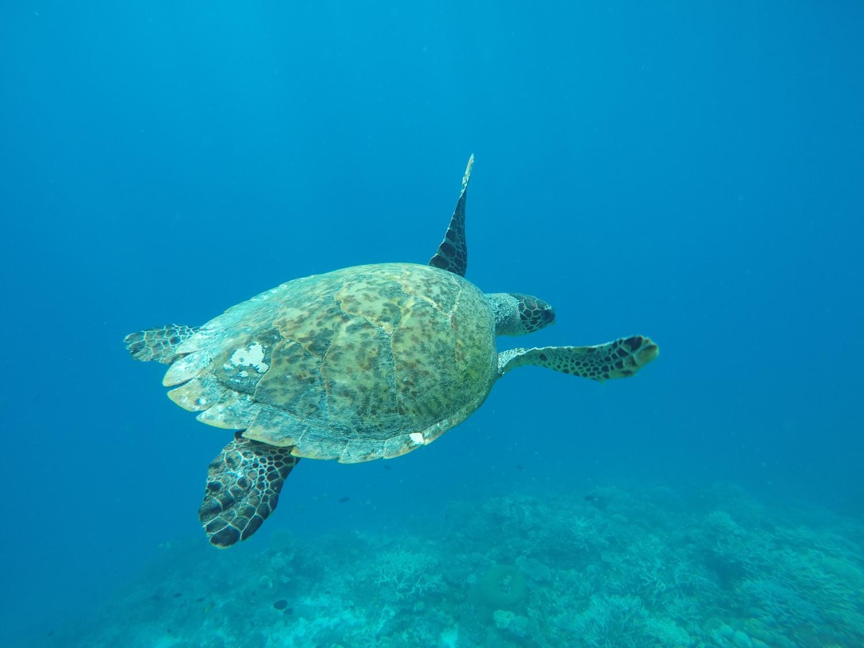 Salt Beach Hotel - View 106