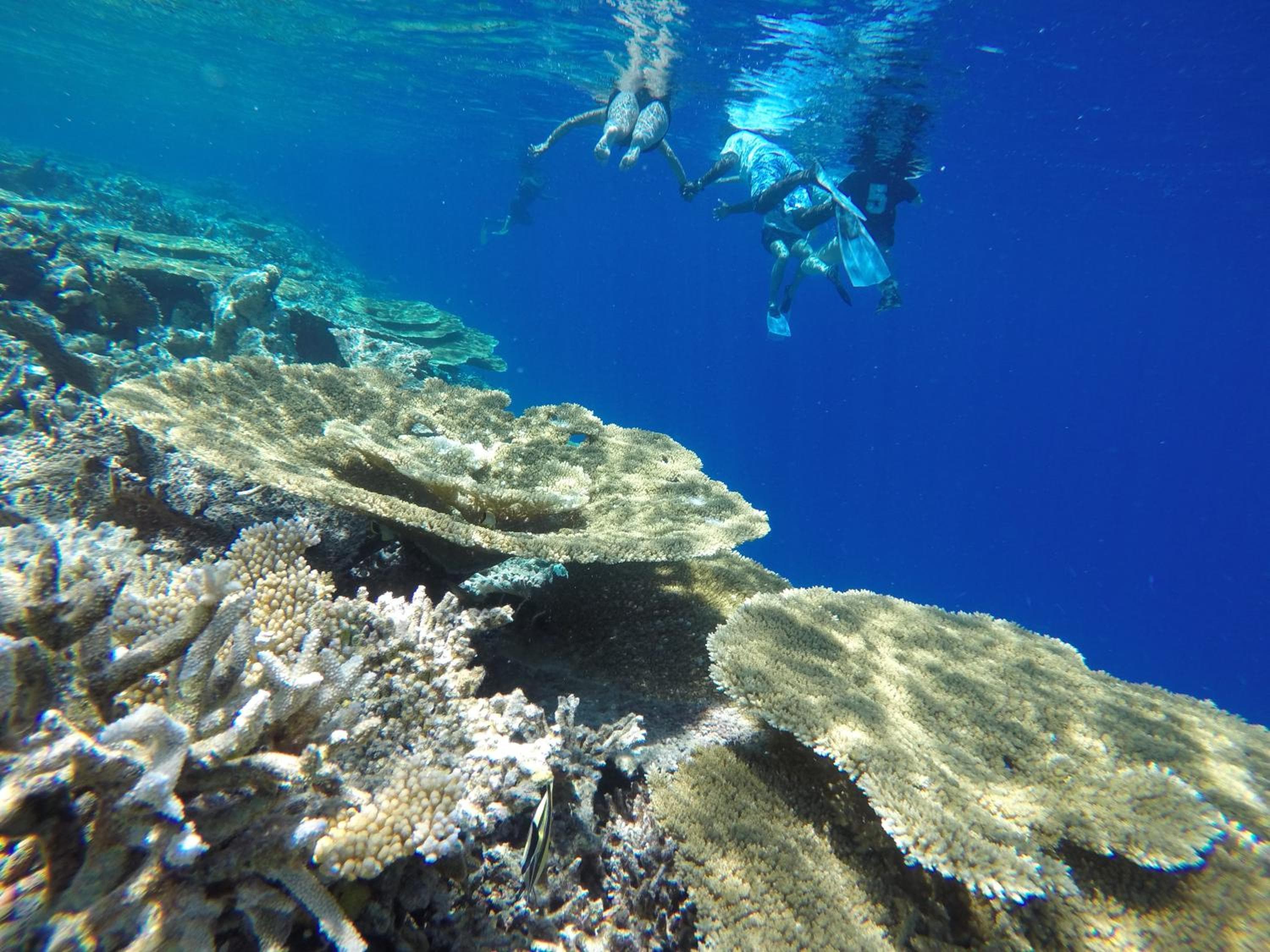 Salt Beach Hotel - View 95