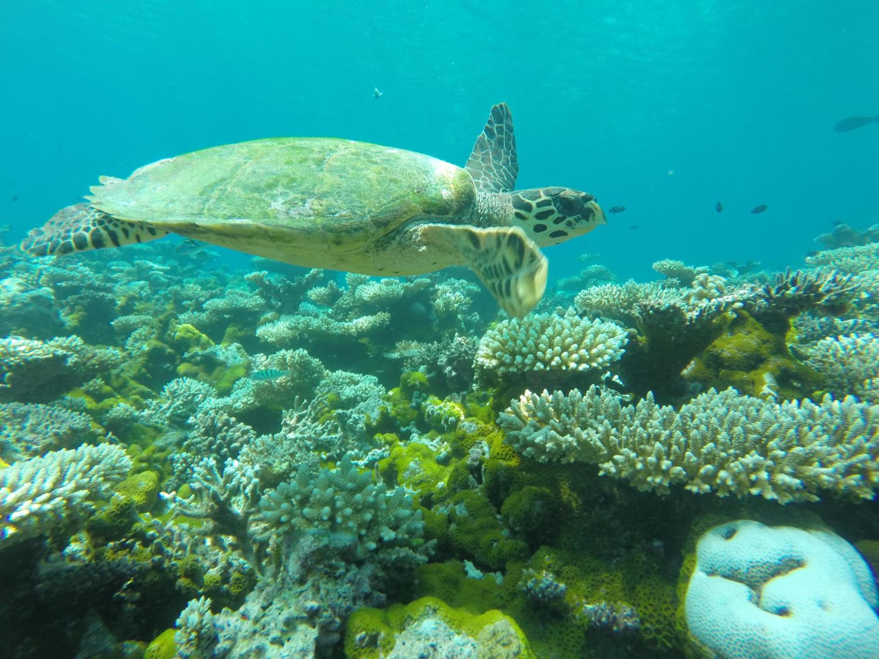 Salt Beach Hotel - View 105