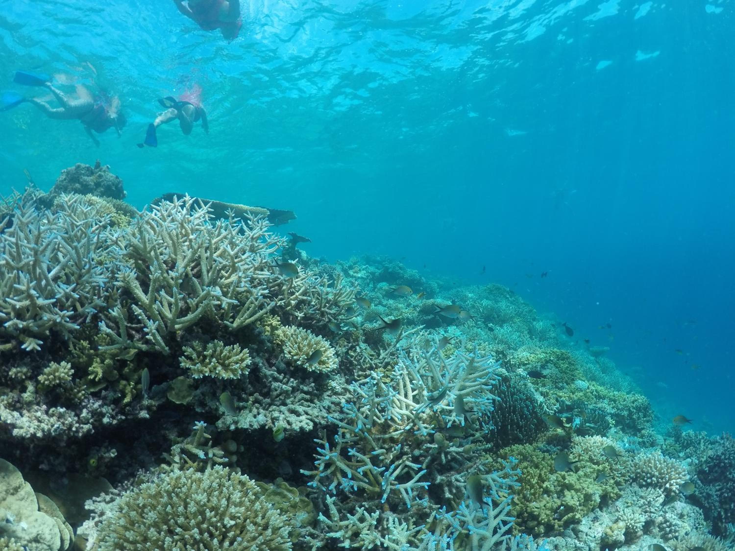 Salt Beach Hotel - View 108