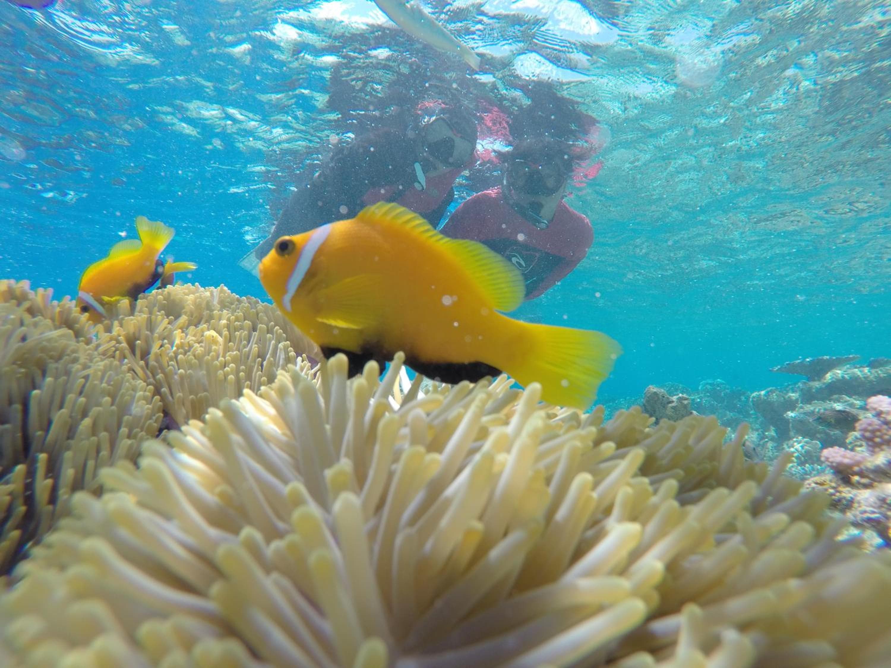 Salt Beach Hotel - View 77