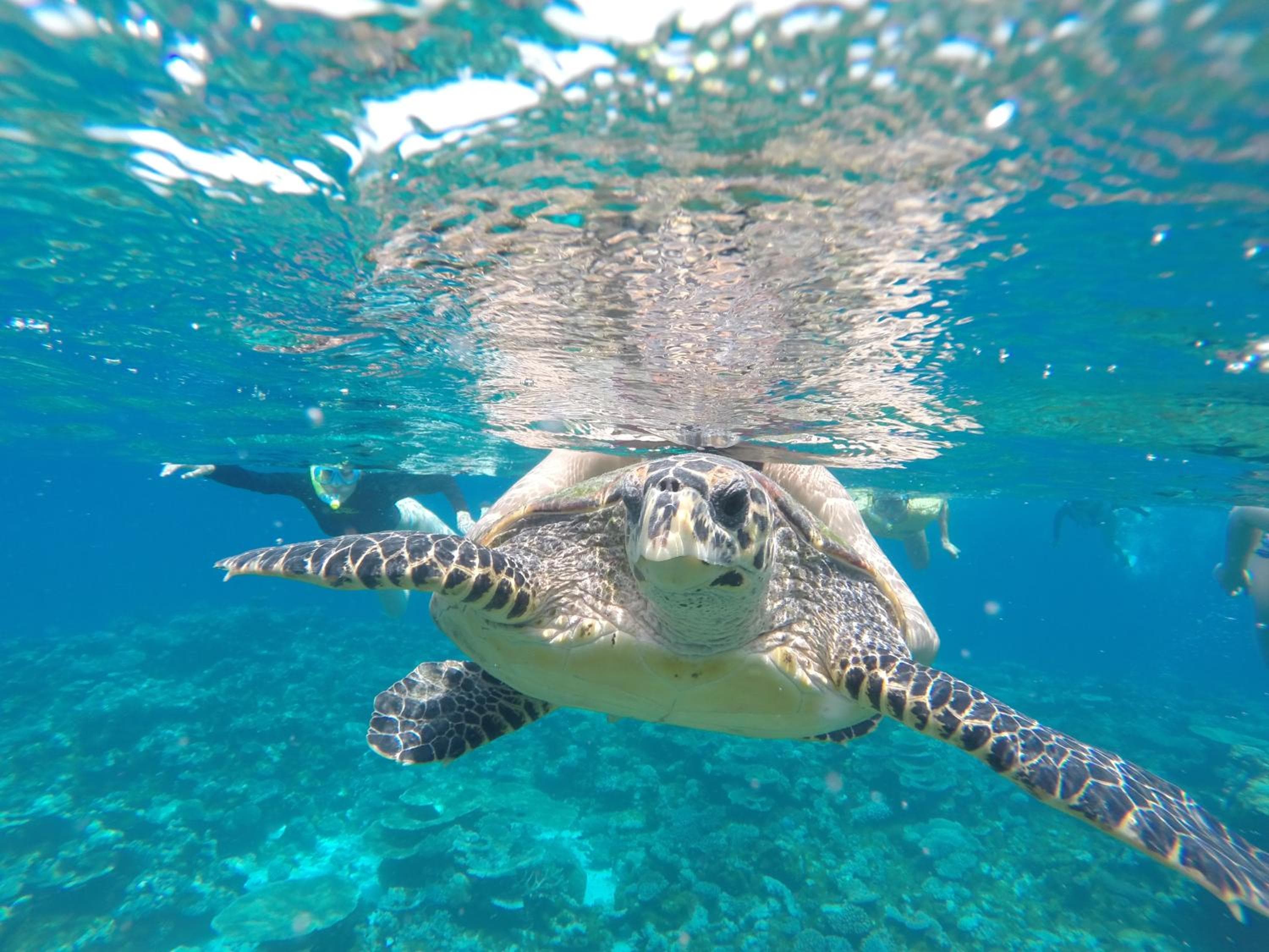 Salt Beach Hotel - View 102