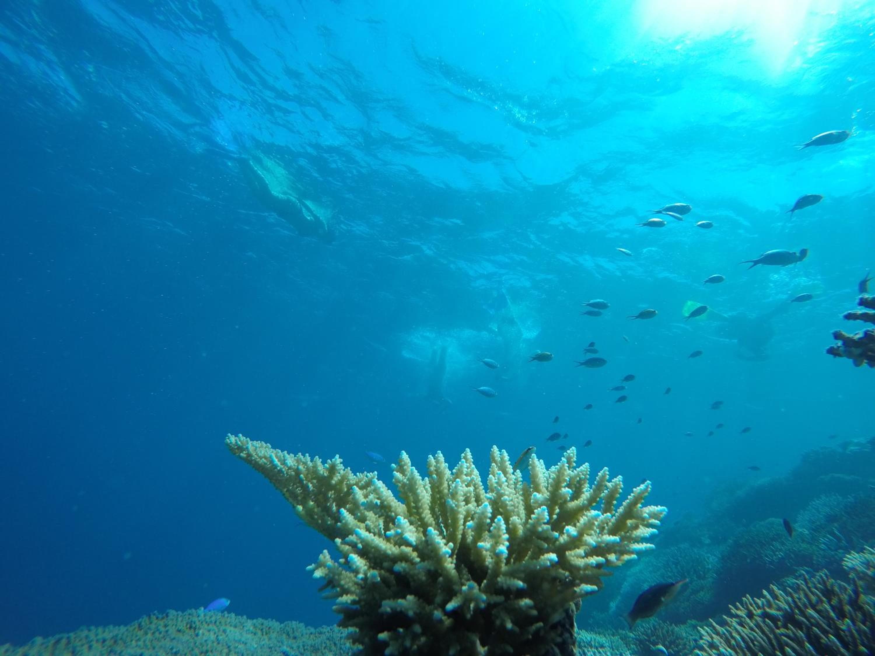 Salt Beach Hotel - View 107