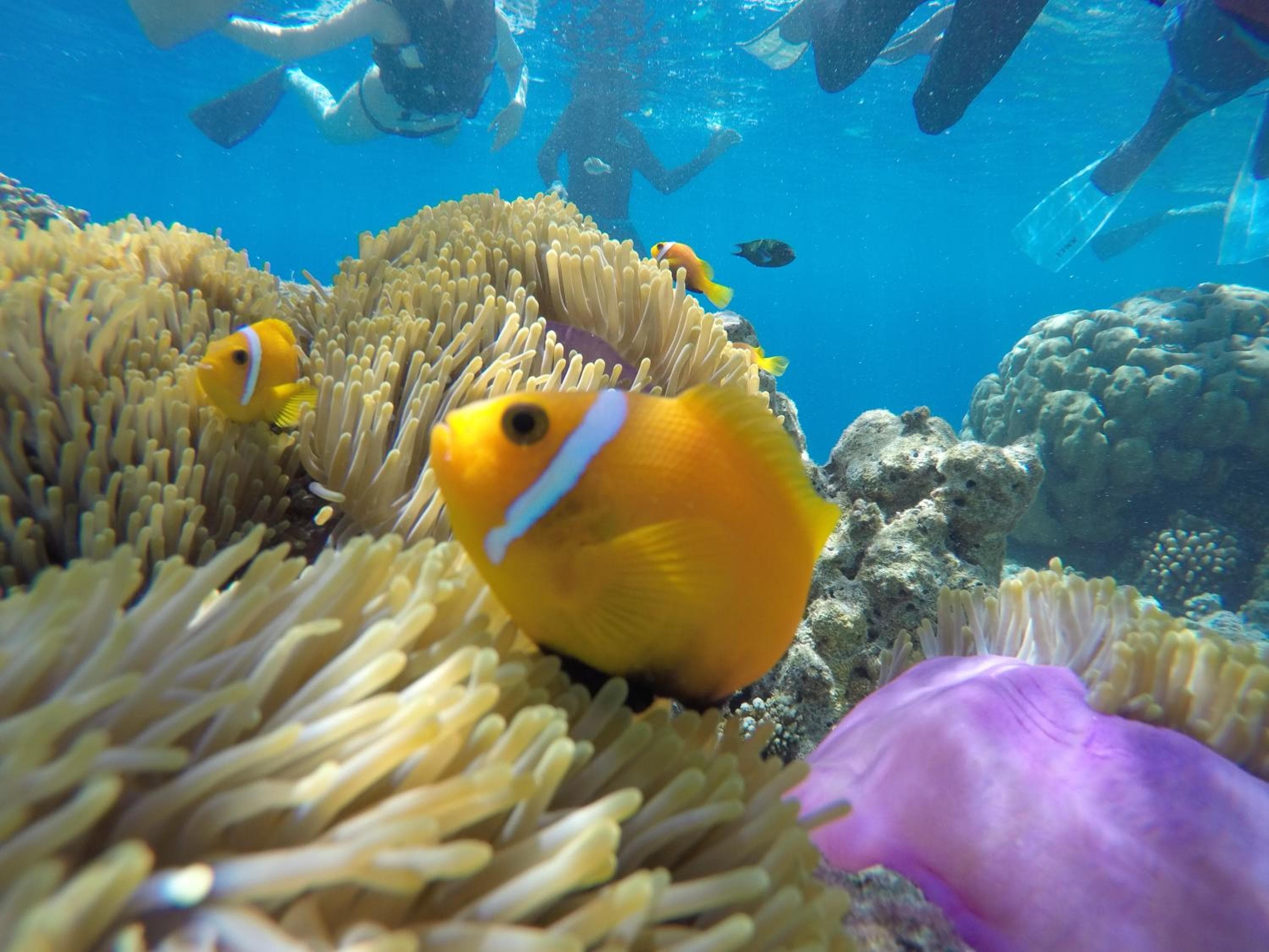 Salt Beach Hotel - View 96