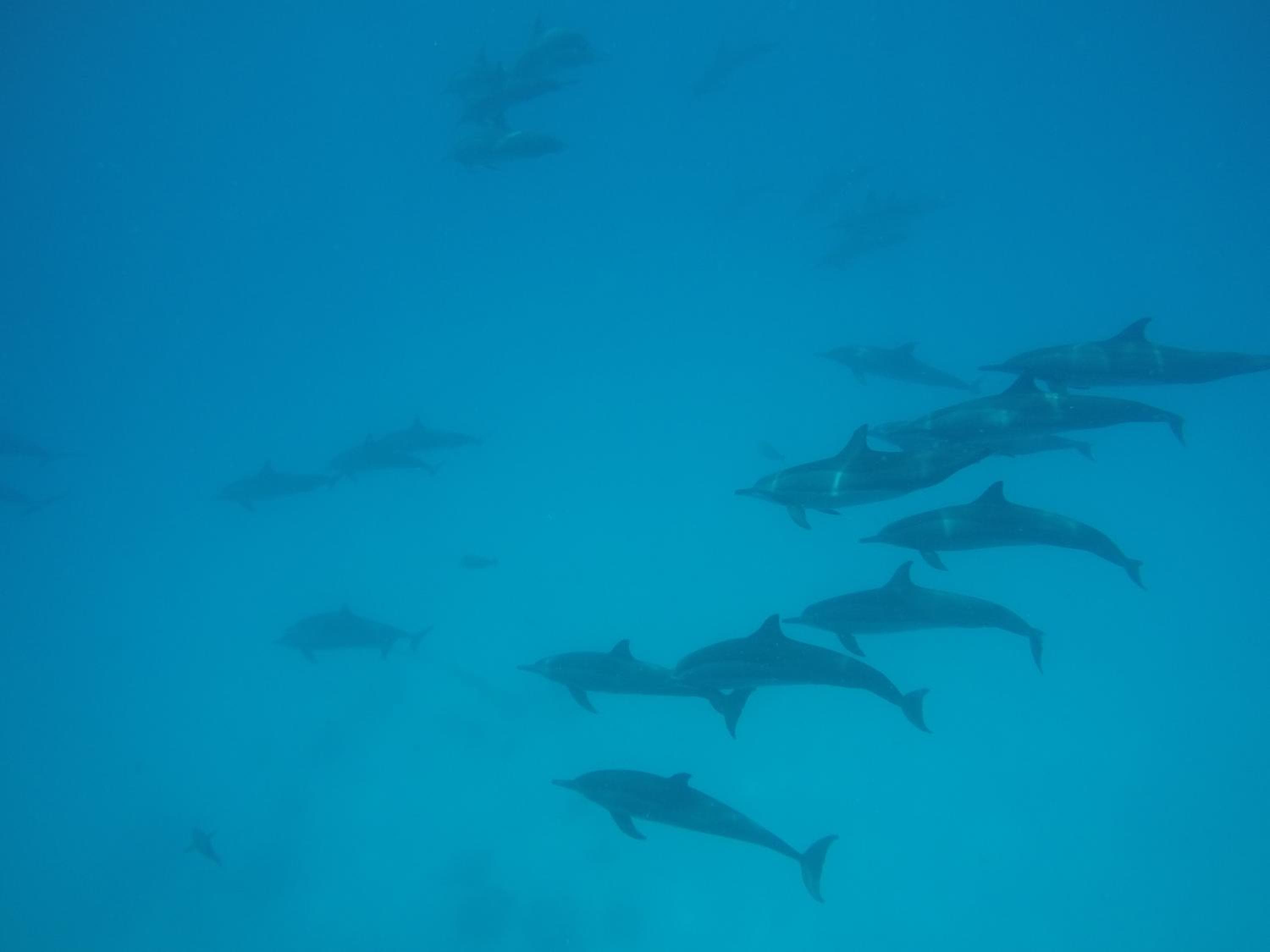 Salt Beach Hotel - View 98