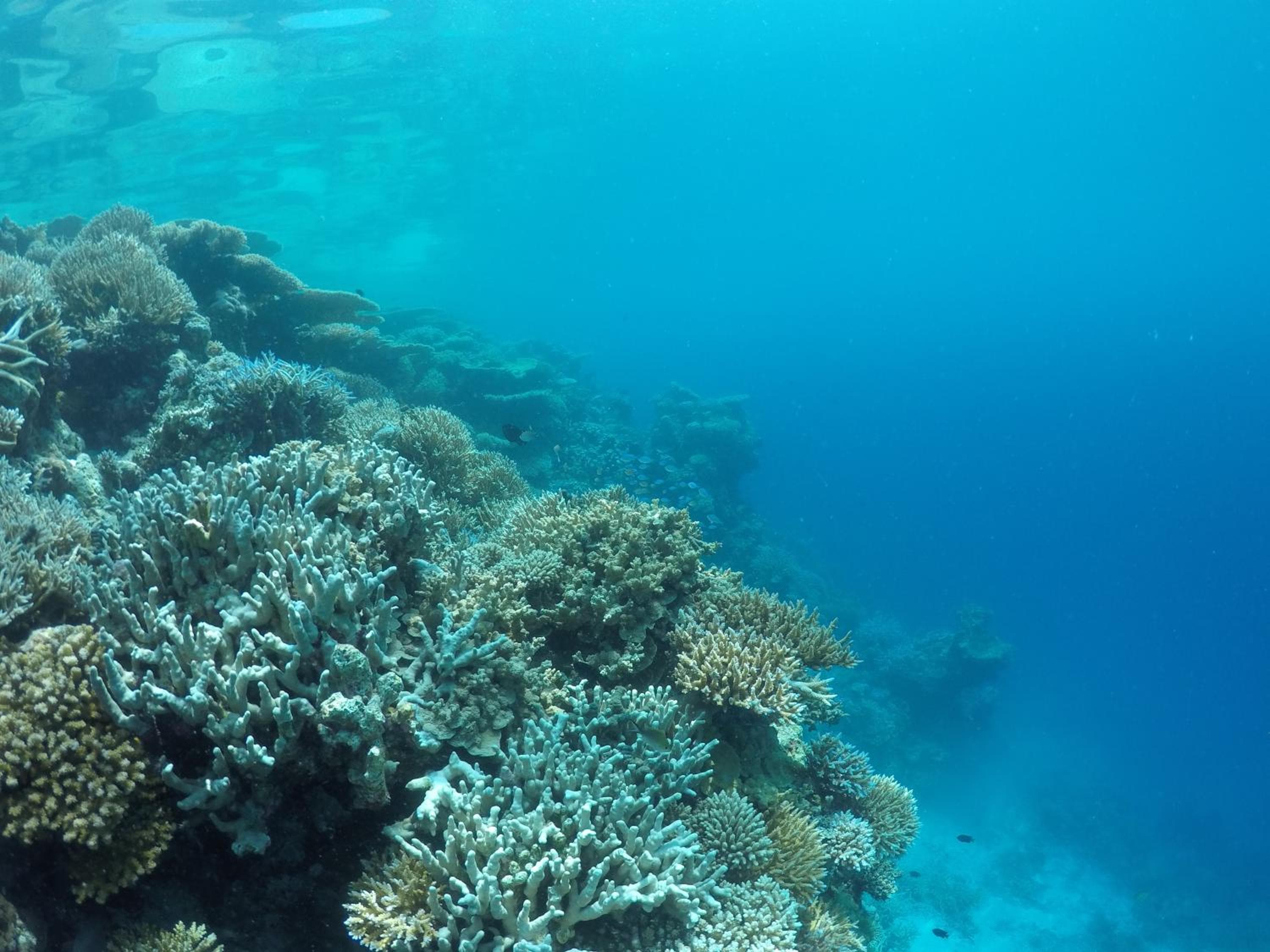 Salt Beach Hotel - View 109